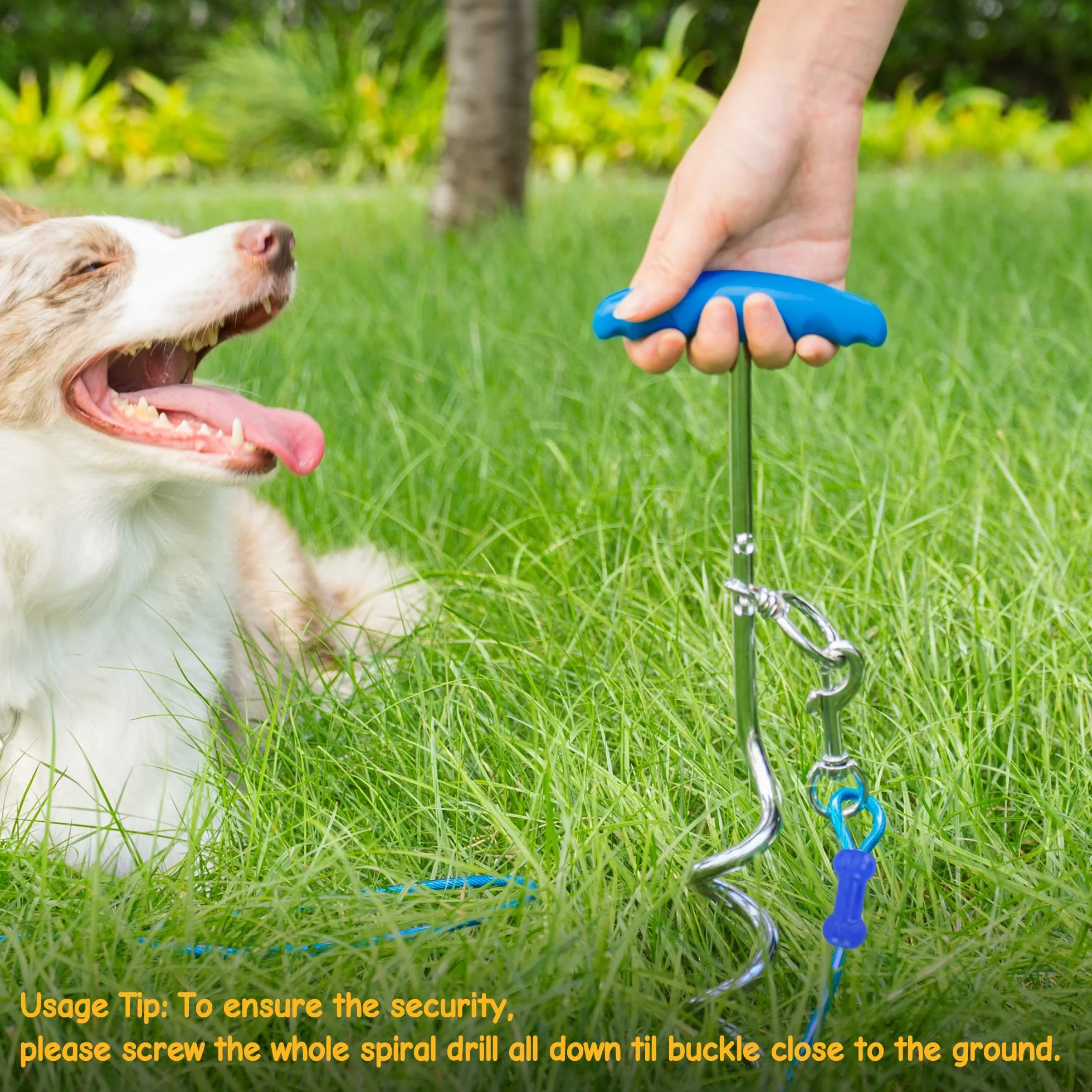 Petphabt - Cavo resistente per cani da 3 m, con spirale per cani da 16 cm, per cuccioli, animali domestici, guinzaglio per esterni (verde acqua)