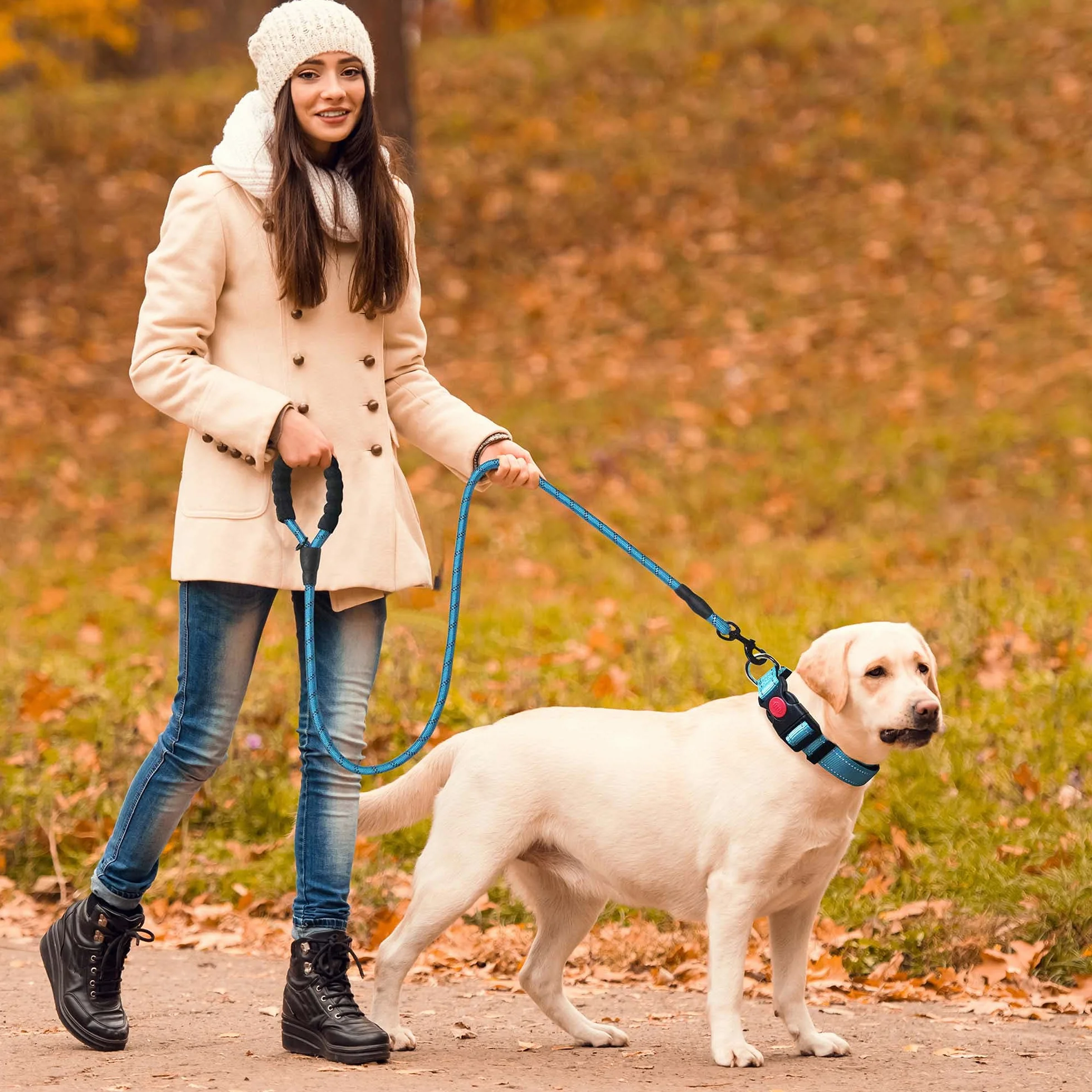 haapaw Collare Riflettente per Cani con Morbido Neoprene Traspirante Regolabile Collari in Nylon Per Cani Piccoli Medi Grandi