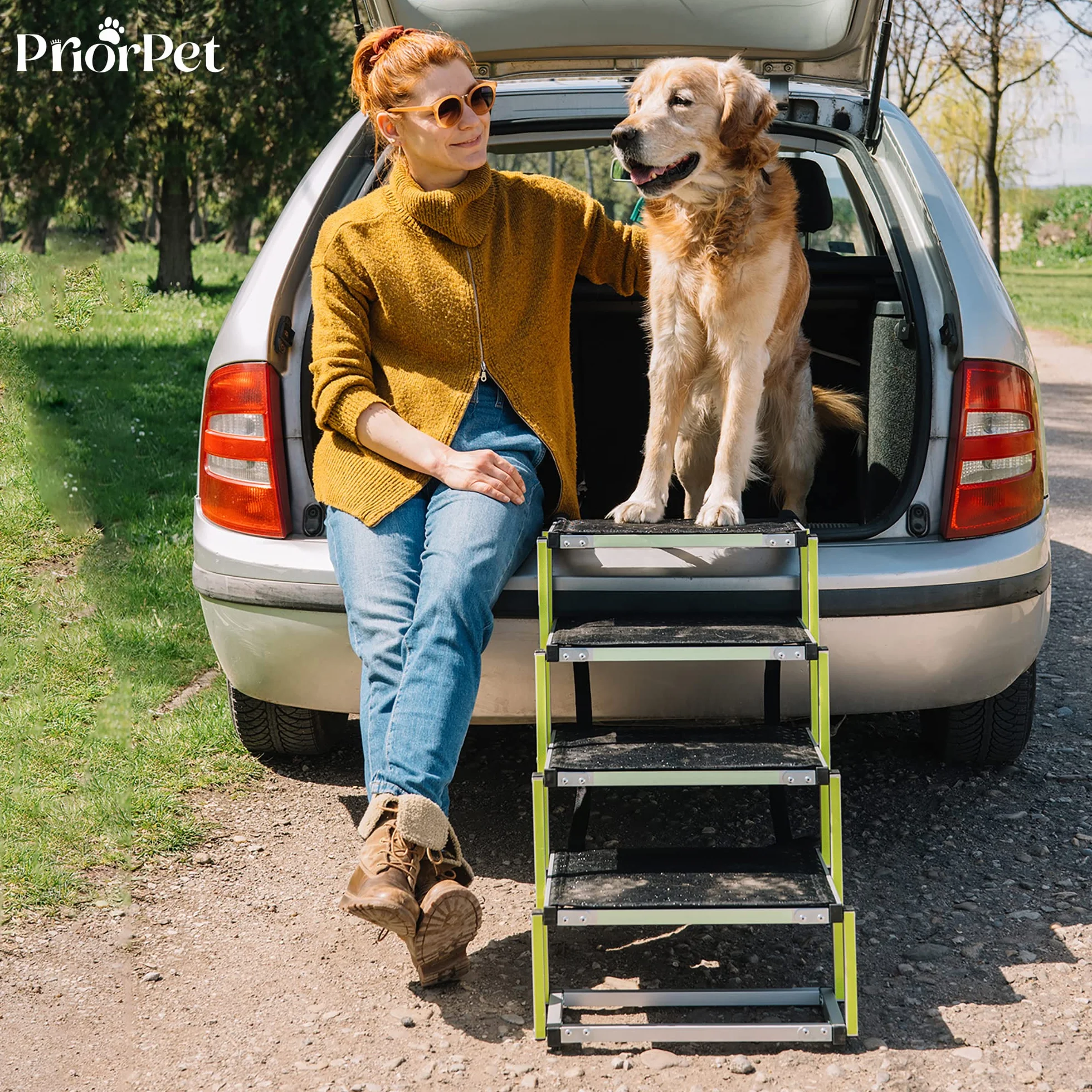 PRIORPET Rampa per Cani Pieghevole 4 Gradini Antiscivolo Riflettente 77 kg