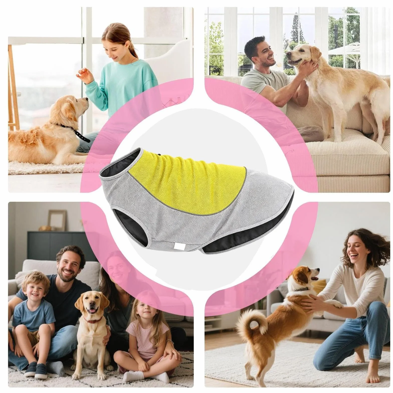 Gilet rinfrescante per cani traspirante regolabile taglie piccole medie grandi