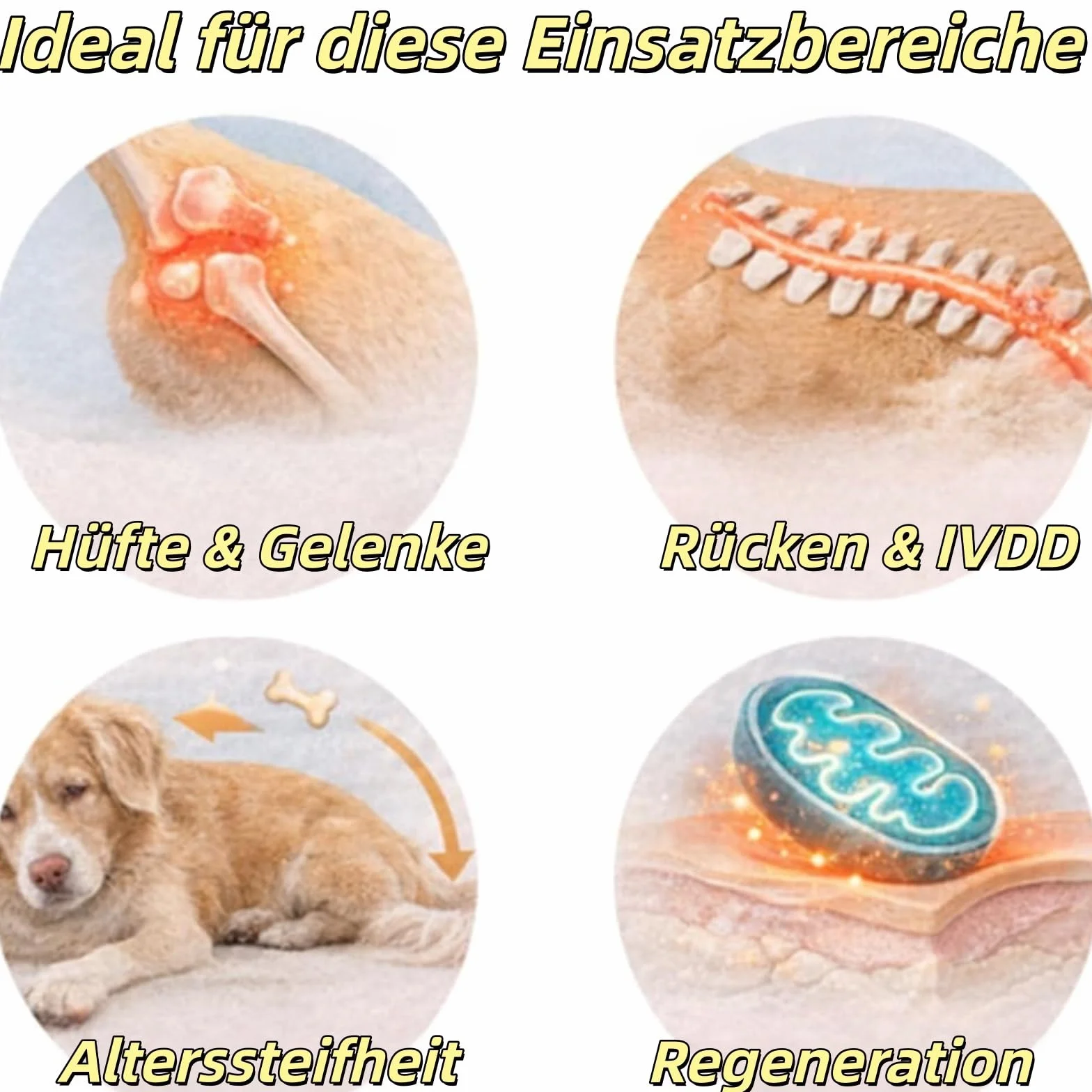 FellStern - Tappetino terapia a luce rossa per cani e gatti, 660 nm e 840 nm per terapia con luce rossa a infrarossi, supporto per dolori e articolazioni, terapia termica sicura, facile da