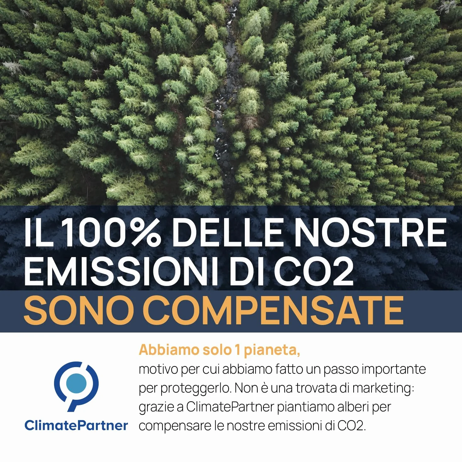 Argento Colloidale Puro 500ml 20 PPM | Per la famiglia & gli Animali (Cani, Gatti) | 100% Naturale : Certificato Cosmos Natural | Carbon Neutral