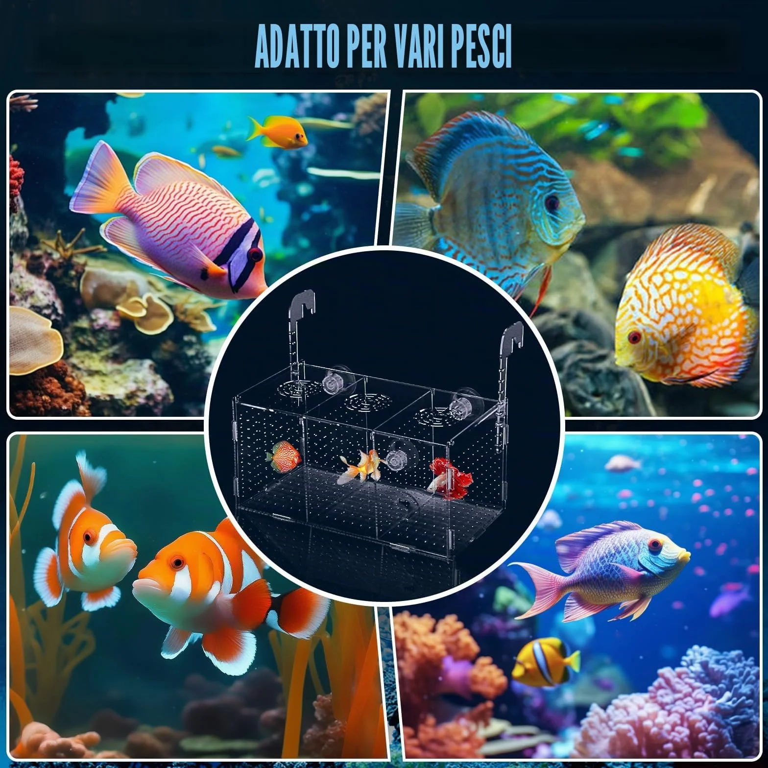 Scatola di Allevamento di Pesci d'Acquario, Scatola di Isolamento per Allevamento di Acquario Trasparente in Acrilico Incubatrice Pensili con Ventose per Neonati Gamberetti, 30x15x15 cm