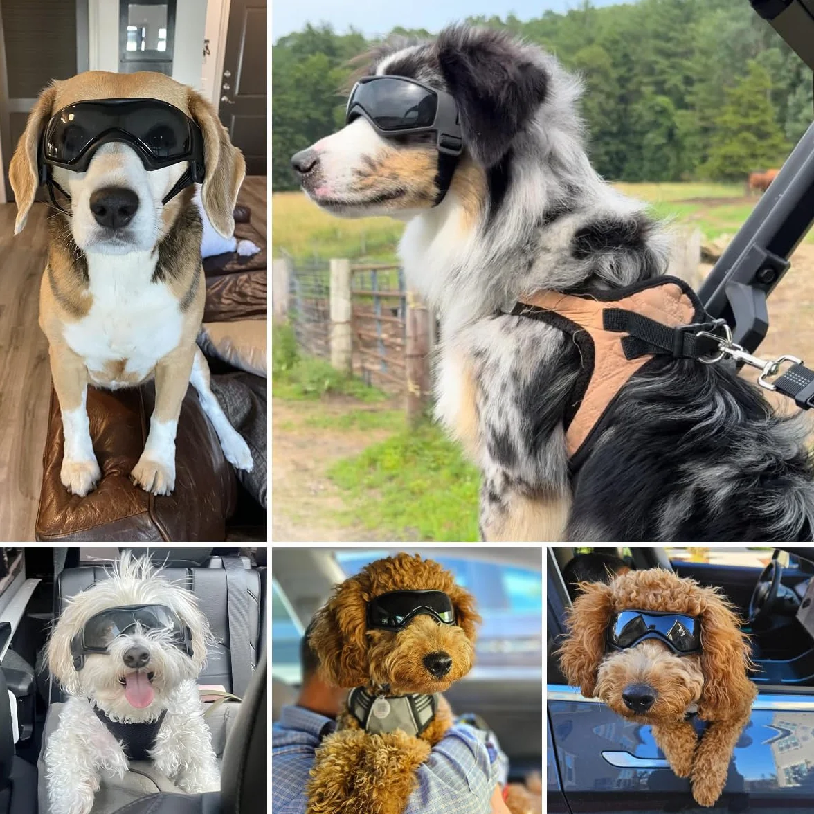 NAMSAN Occhiali da sole per cani Protezione per gli occhi per cani di piccola e media taglia