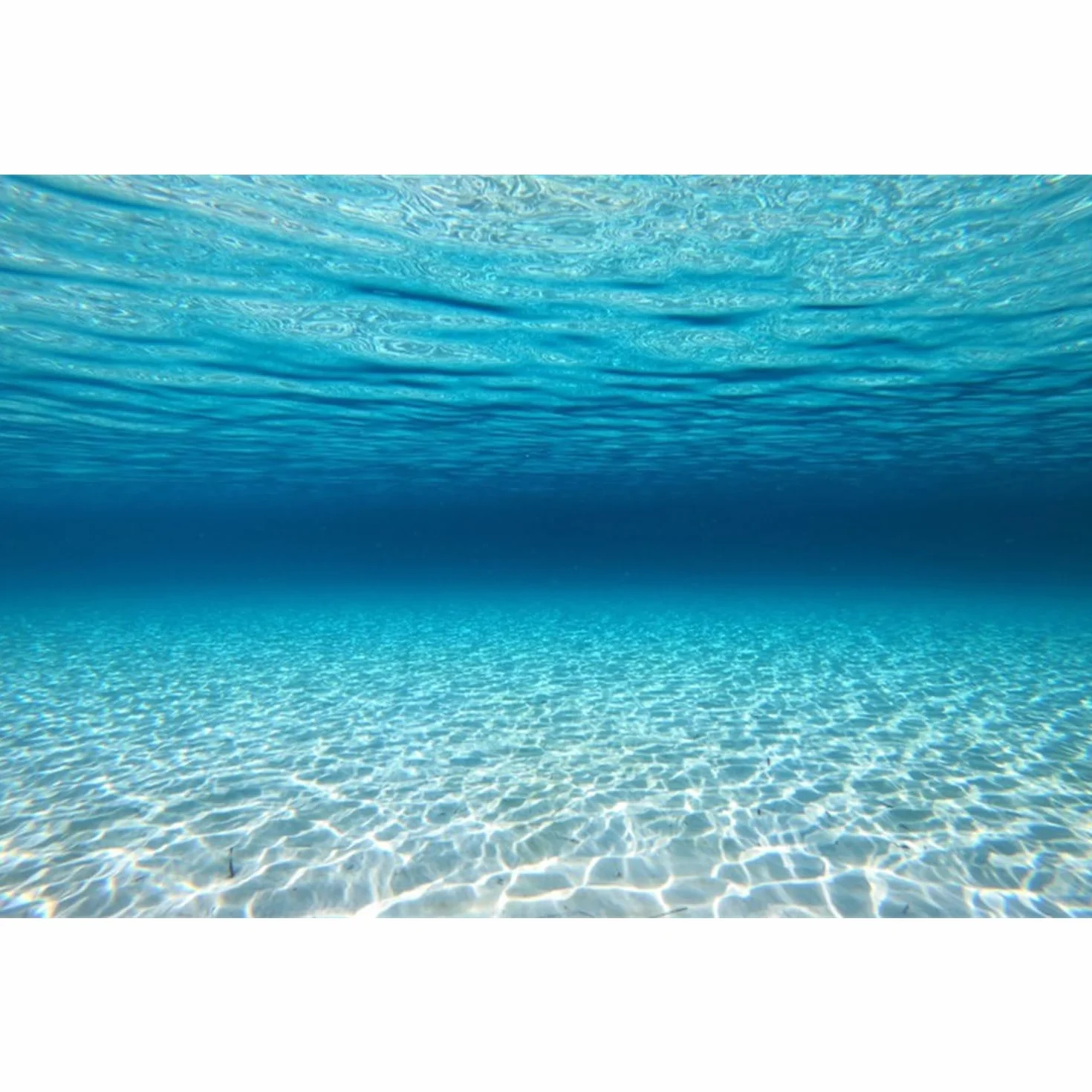 120x61cm Sottomarino Tema Acquario Sfondo Blu Oceano Subacqueo Mondo Acquario Sfondo Acquario Sfondo