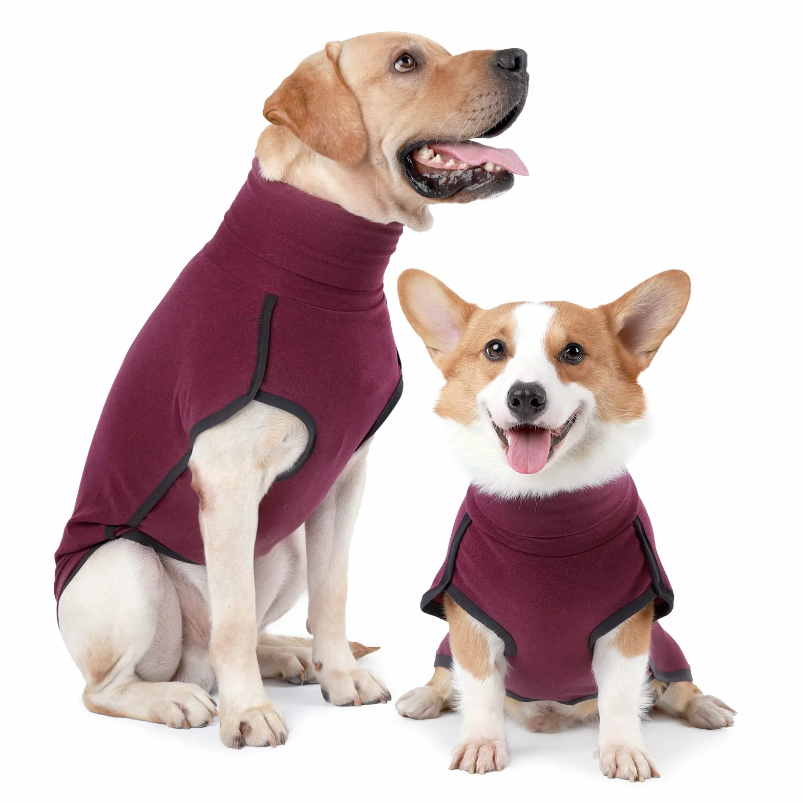 HEYWEAN Felpa per cani Gilet in pile elasticizzato Pullover per cani caldi Pullover per cani di piccola e media taglia Abbigliamento invernale per interni ed esterni