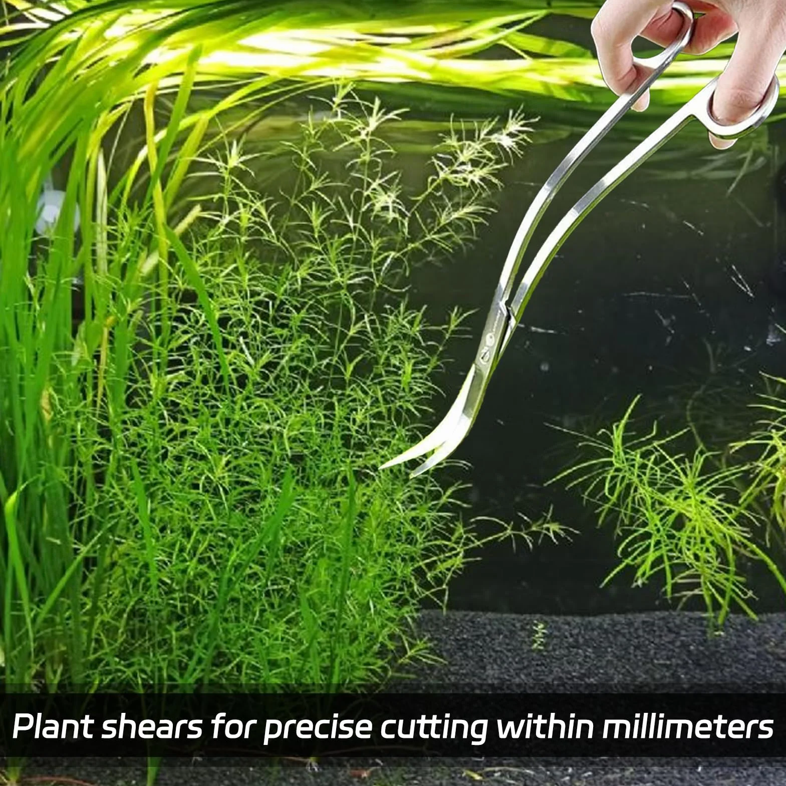 Forbici Da Acquario Curve In Acciaio Inossidabile 25 Cm Aquascaping Strumento