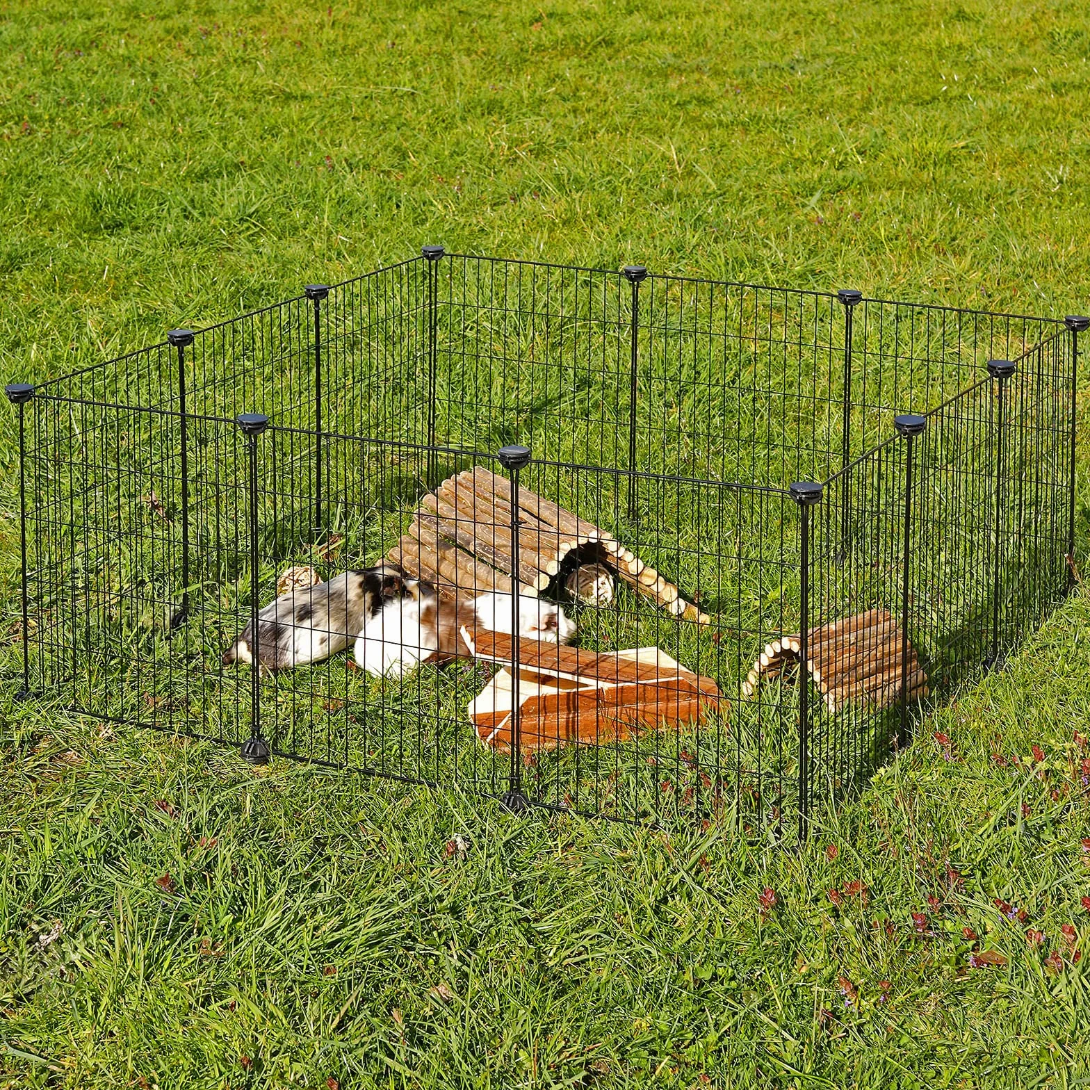 lionto Recinto metallo Recinzione piccoli animali Gabbia per piccoli animali ampliabili 144 X 74 X 46 cm