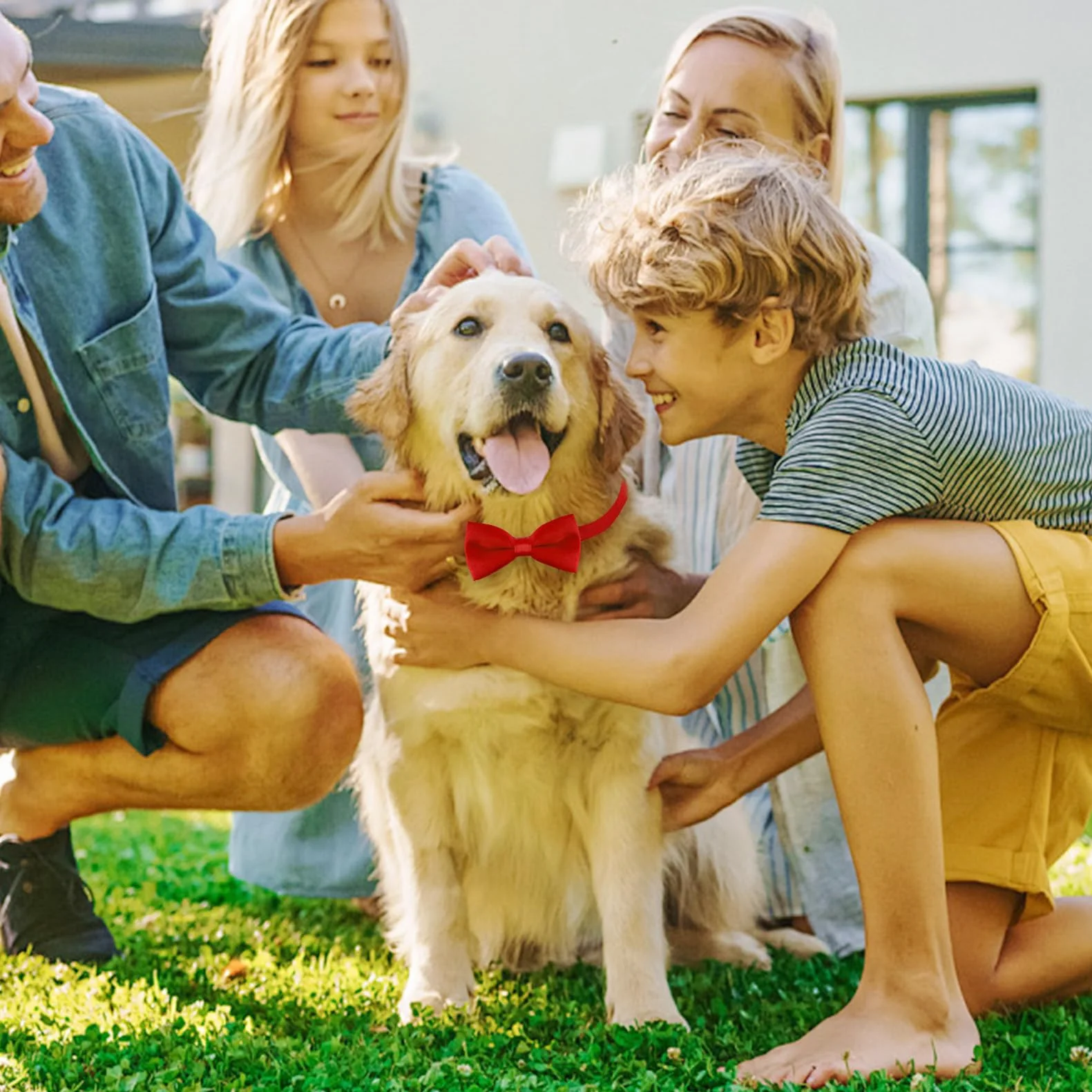 Collare per cani con papillon in velluto rosso per matrimoni