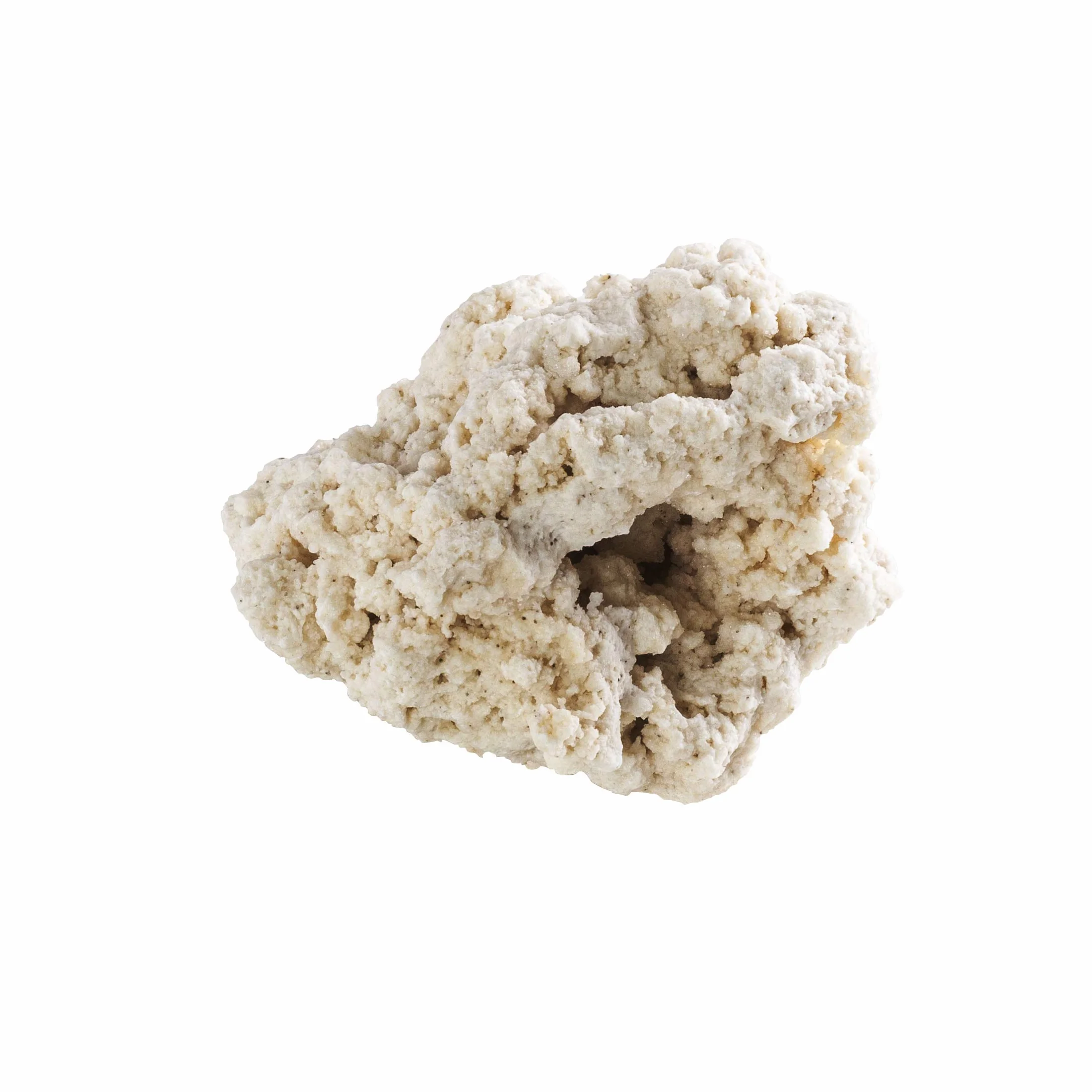 ARKA MRROSLG myReef-Rocks - Roccia Naturale di barriera corallina, Adatta Anche per acquari ciclidi, Altamente porosa, Senza Sostanze nocive, 20 kg, L, 18-30 cm