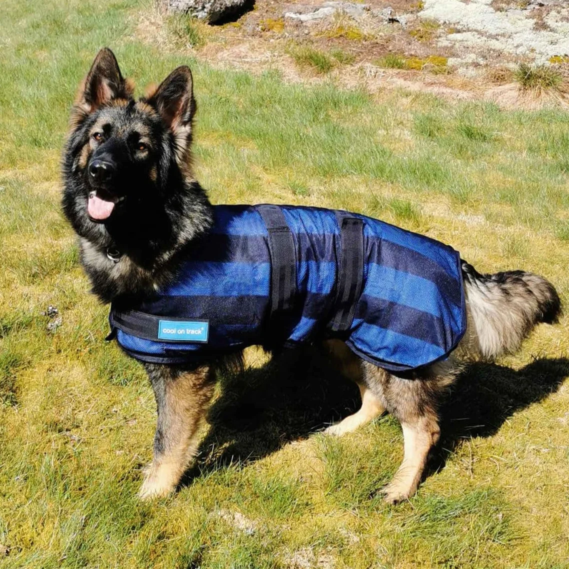 DOG Copenhagen Back-on-Track Cappotto rinfrescante anti raggi UV per cani 60 cm Blu