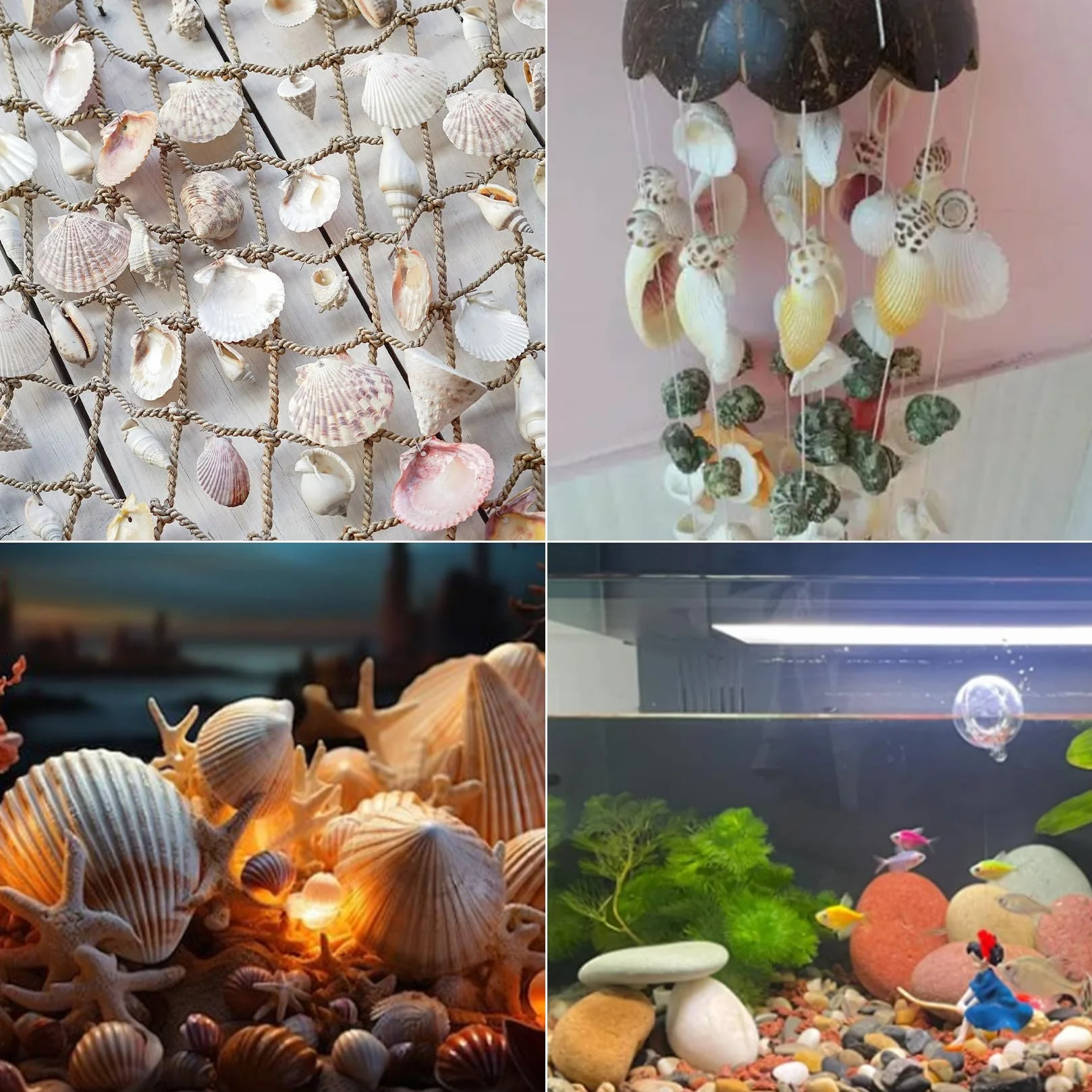 500g Conchiglie Decorative, Conchiglie Marine Naturali da 2-8 cm, Conchiglia per Decorazioni Mare Oceano Artigianato fai da te Acquari Feste a Tema Spiaggia Matrimoniali DIY