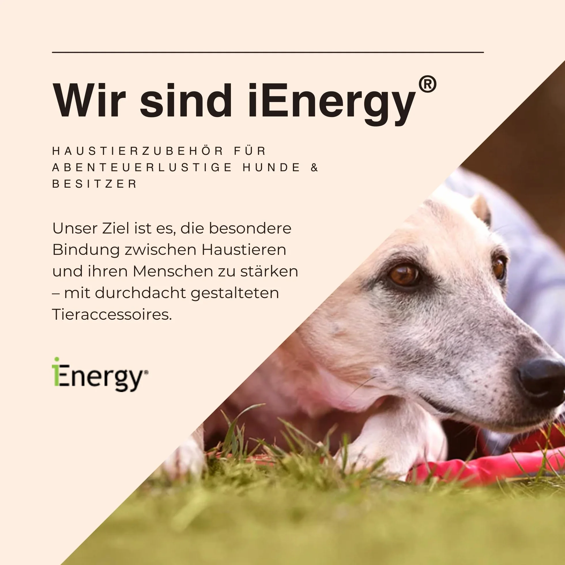 iEnergy Zaino per cani MAL - Zaino per cani - Zaino resistente alle intemperie per cani - Zaino da trekking ben imbottito, Rosso, Piccolo