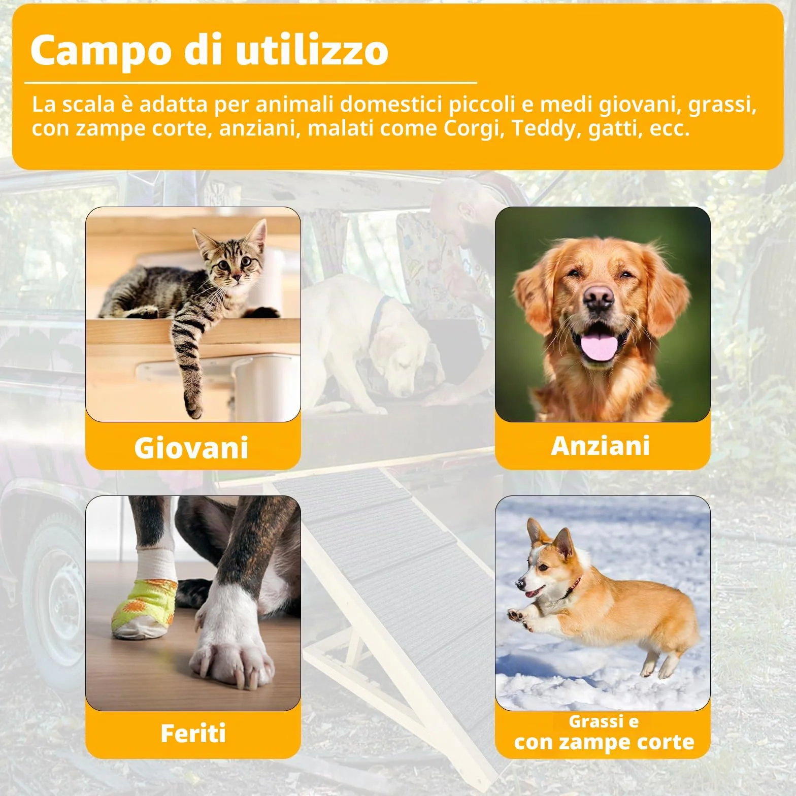 Pieghevole Scala per Cani in Legno per Animali Domestici fino a 100 kg