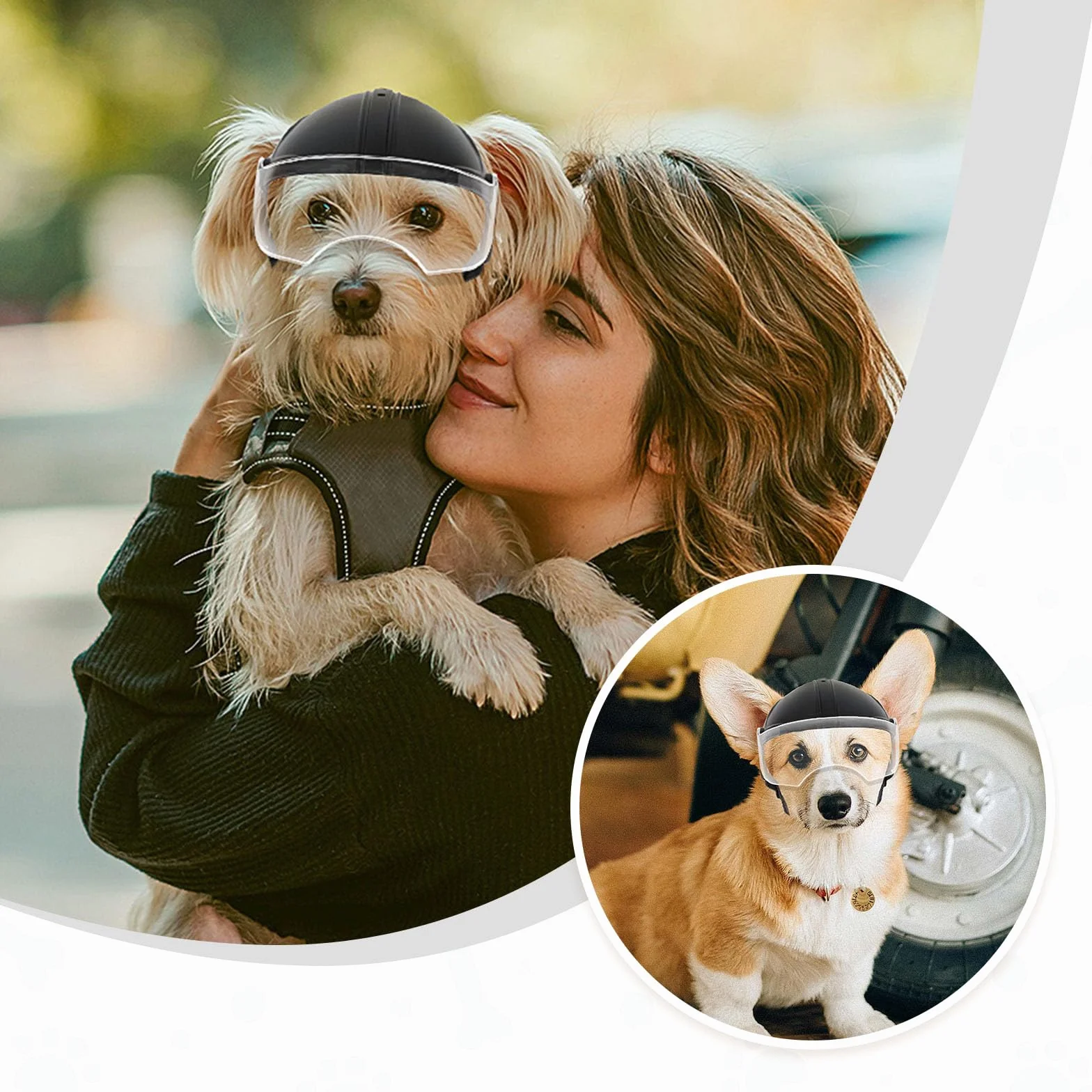 Casco per cani con occhiali resistente Casco per animali domestici Protezione UV Occhiali da sole trasparenti per cani di piccola taglia - Lente trasparente