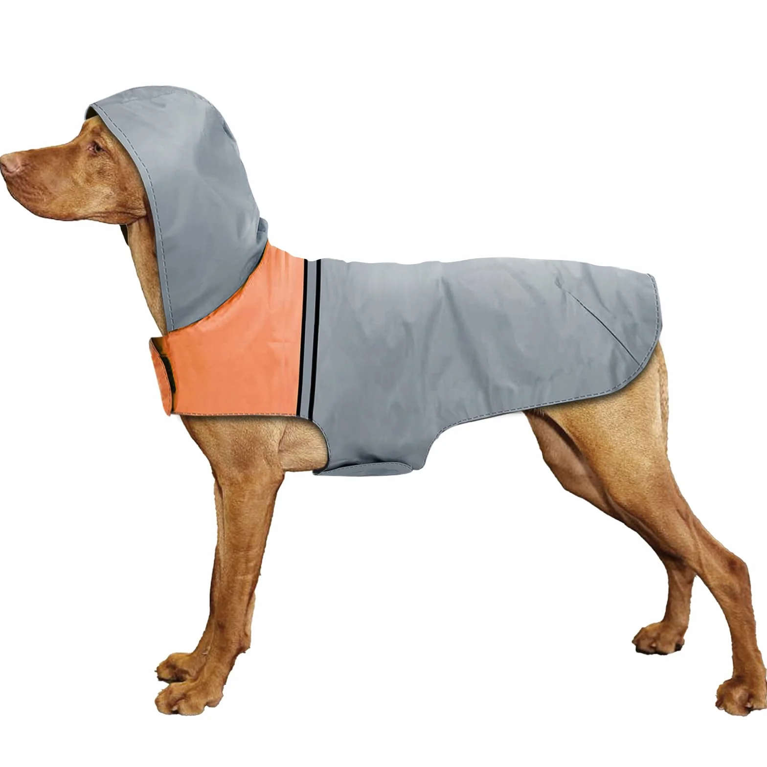 Impermeabile Cappottino Pioggia per Cani con Cappuccio, Ultraleggero Traspirante Antipioggia Riflettenti per Cani, Impermeabile da Pioggia Giacca per Cani di Taglia Piccola Medio e Grande (L)