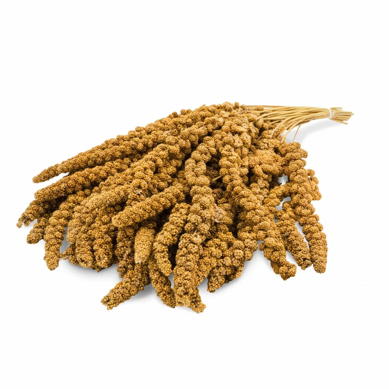 JR FARM Birds miglio pallone giallo 1 kg
