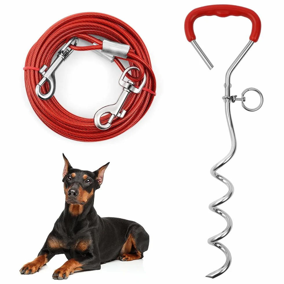 Aomig Cavo Resistente per Cani, Kit Guinzaglio per Cani 3M e Picchetto per Cani in Acciaio Inossidabile, Spirale in Metallo a Forma di Cane Tether Dog Accessori da Campeggio, Cortili, Parchi