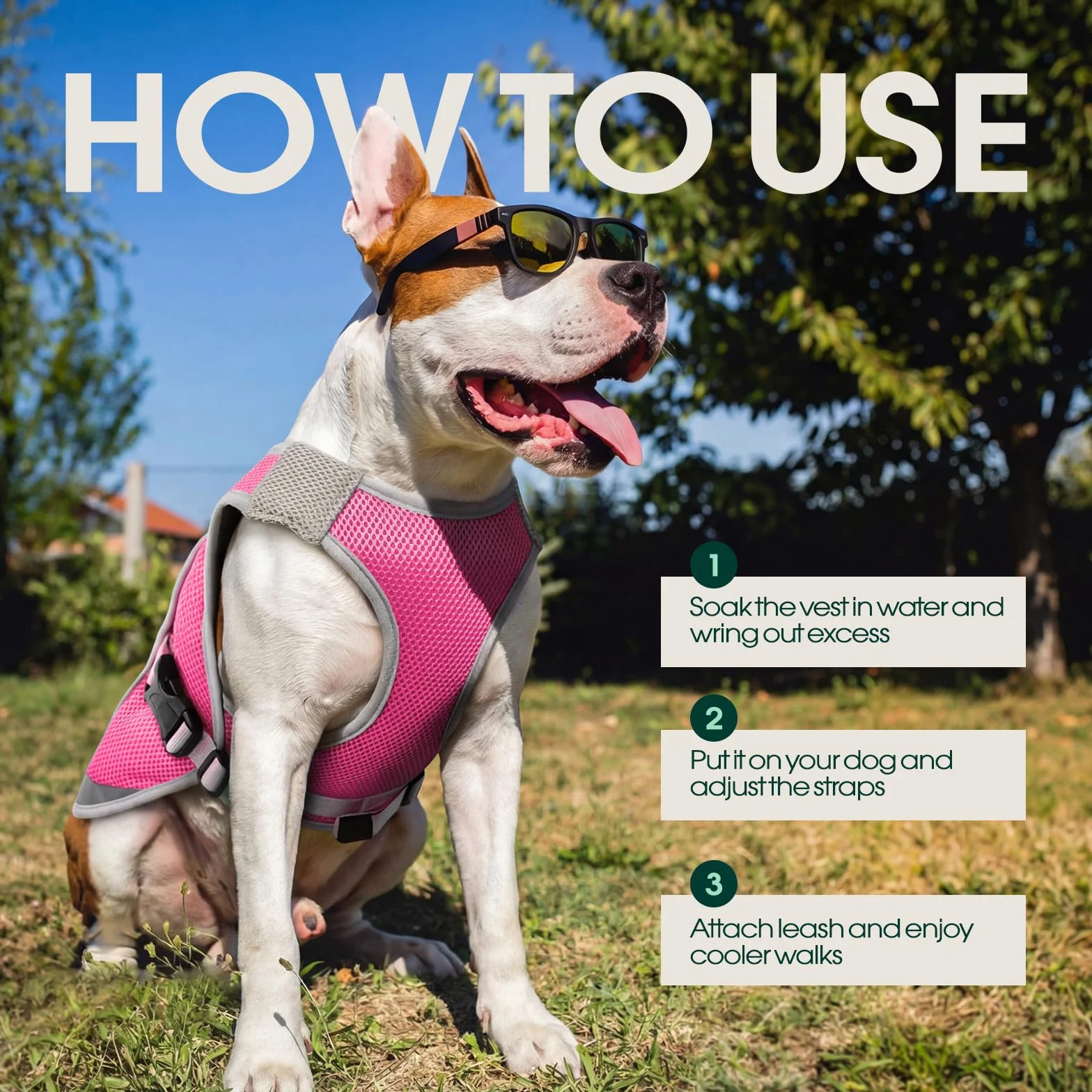 Kuoser Gilet Rinfrescante per Cani, Cappotto Evaporativo con Fibbia Pettorale e Anello a D, Rosa, Taglia M