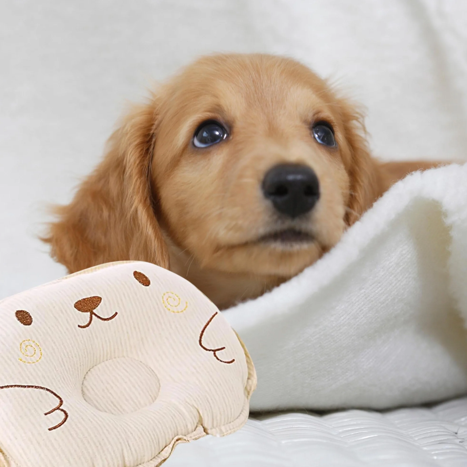 Piccolo cuscino per gatti e cani, giocattolo – morbido cuscino per animali domestici – morbido, soffice e confortevole, ideale per trasportino, divano, cesto e riposo quotidiano interno