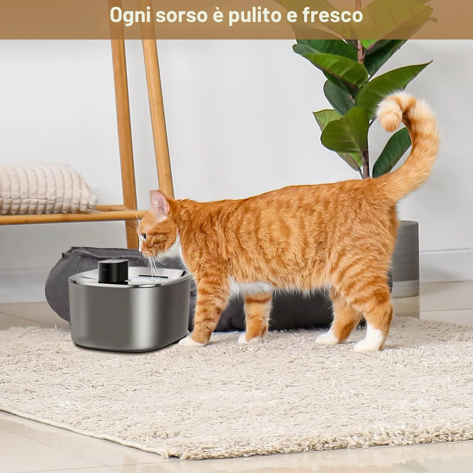 Filtri Fontanella per Gatti, 12 Filtro Fontanella per Gatti per FEELNEEDY 4L Fontana Acqua per Gatti YPD-C004, Comprendere 12 Filtri Fontana Gatto e 12 Spugne Pre-filtrate e 12 Spugnetta per Pompa