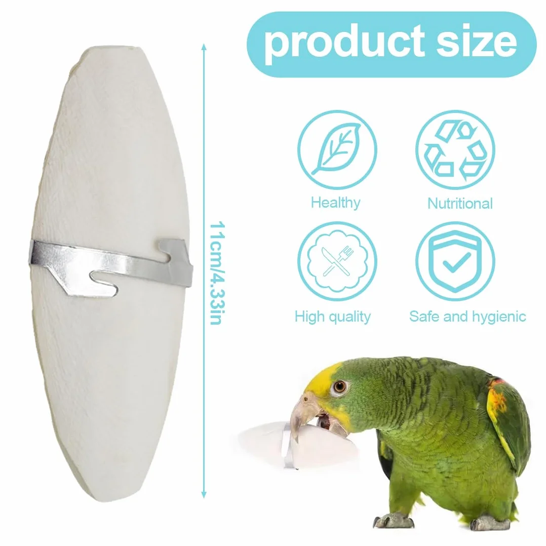 Osso di Seppia Naturale per Pappagalli Tartarughe Uccelli 3 Pezzi con Supporti Metallo 11-13cm
