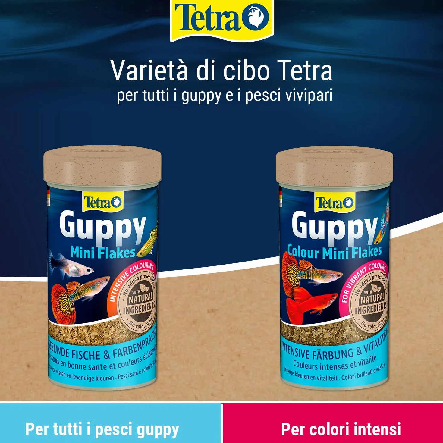 Tetra Guppy Colour Mini Flakes - Mangime in scaglie per guppy, lattina 250 ml