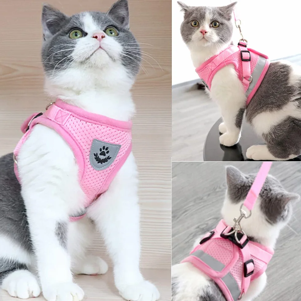 FEimaX Imbracatura e Guinzagli Set per Cani, Pettorina Imbottita a Morbida per Cuccioli e Gatti, Imbracature di Traspiranti Regolabili Riflettenti per Camminare, Corsa, Allenamento