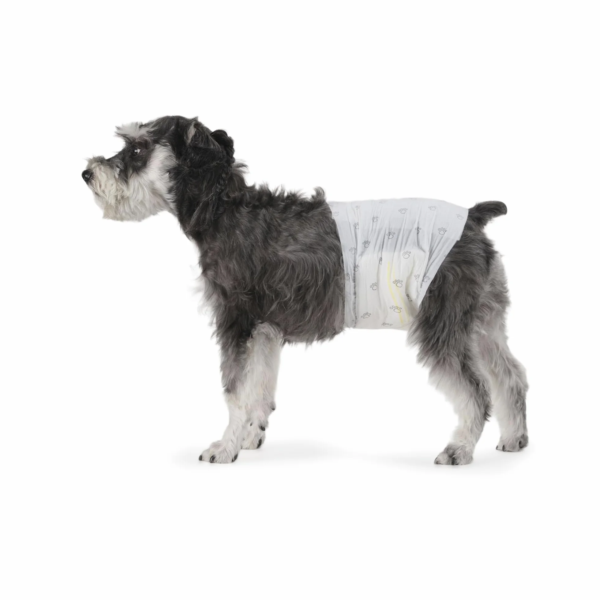 Amazon Basics Pannolini usa e getta per cani maschi, Medio, Bianco, Confezione da 30
