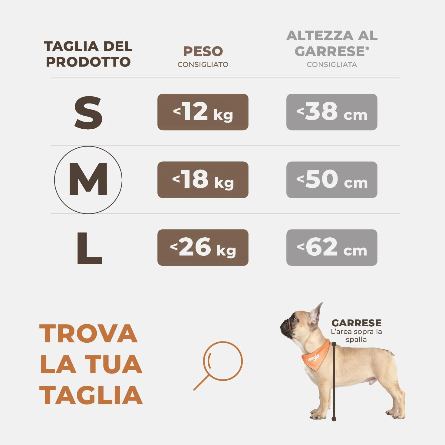 Seggiolino Auto Extra Stabile per Cani Piccoli e Medie - Rinforzato con 4 Cinghie Impermeabile per Sedile Posteriore