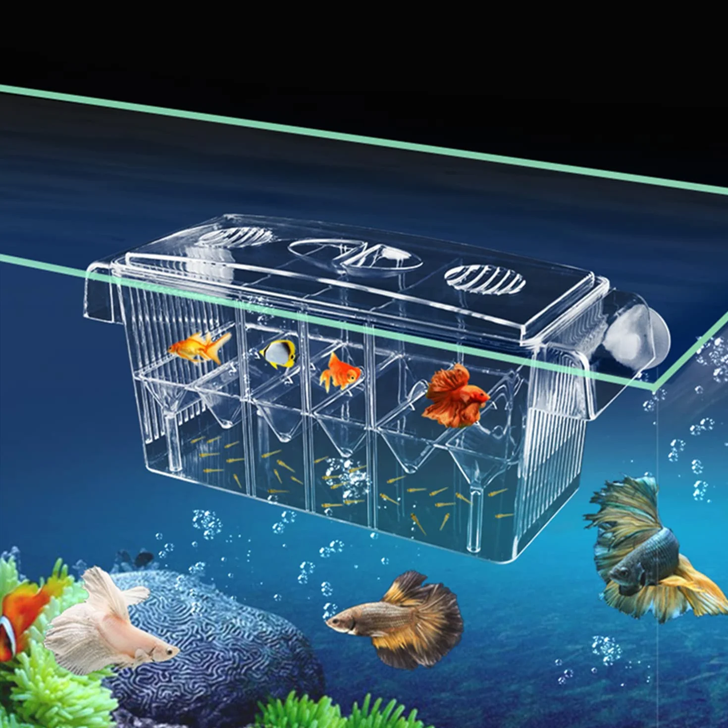 Scatola di Allevamento di Pesci Sale Parto per Pesci 4 IN 1 Serbatoio Incubatrice Incubatrice Acquario Scatola di Isolamento per Gamberetti Bambino Guppy Vassoio di Isolamento Allevamento
