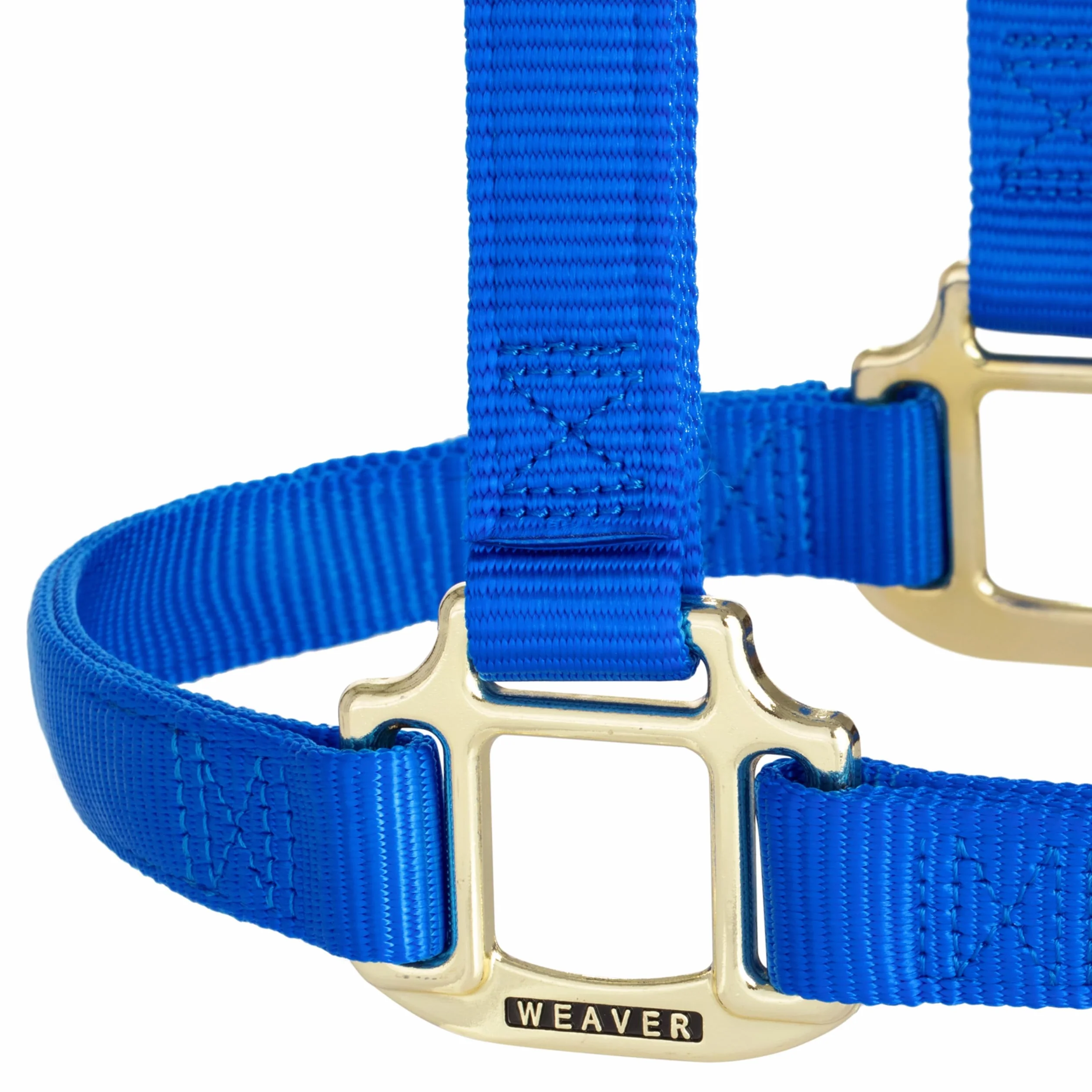 Weaver Leather Original - Cavezza non regolabile, per cavallo tra 1 e 2 anni, M, blu