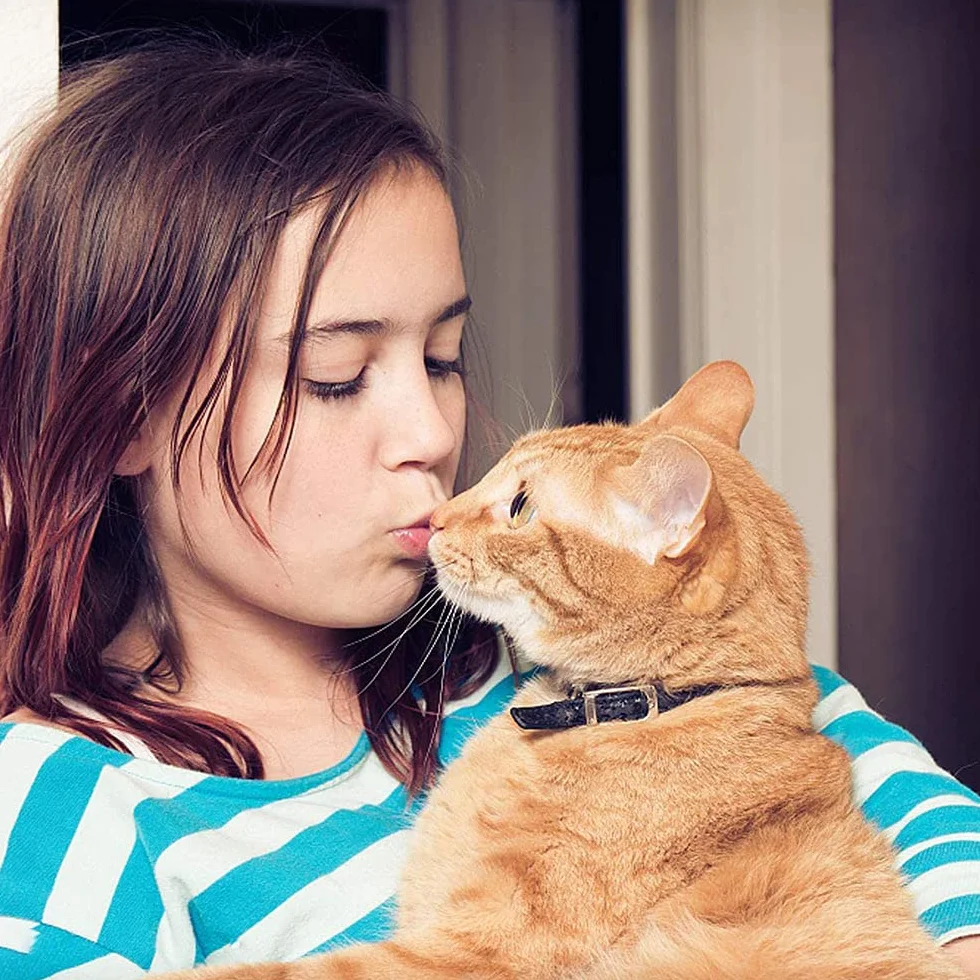 5 Pezzi Collare per Gatto in Pelle,Regolabile Collare Animali Domestici con Campana,Fibbia di Sgancio di Sicurezza Collare per Gatti Animaletti Picoli Cani