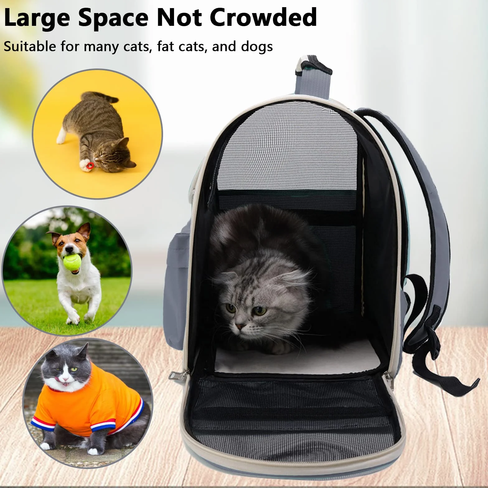 Zaino Gatto, Zaino per cani Gatti Trasportino, Zaino portatile traspirante con Tasche Frontali,Trasparente E Traspirante Resistente al Calore Carrier per I Viaggi di Campeggio D'escursione