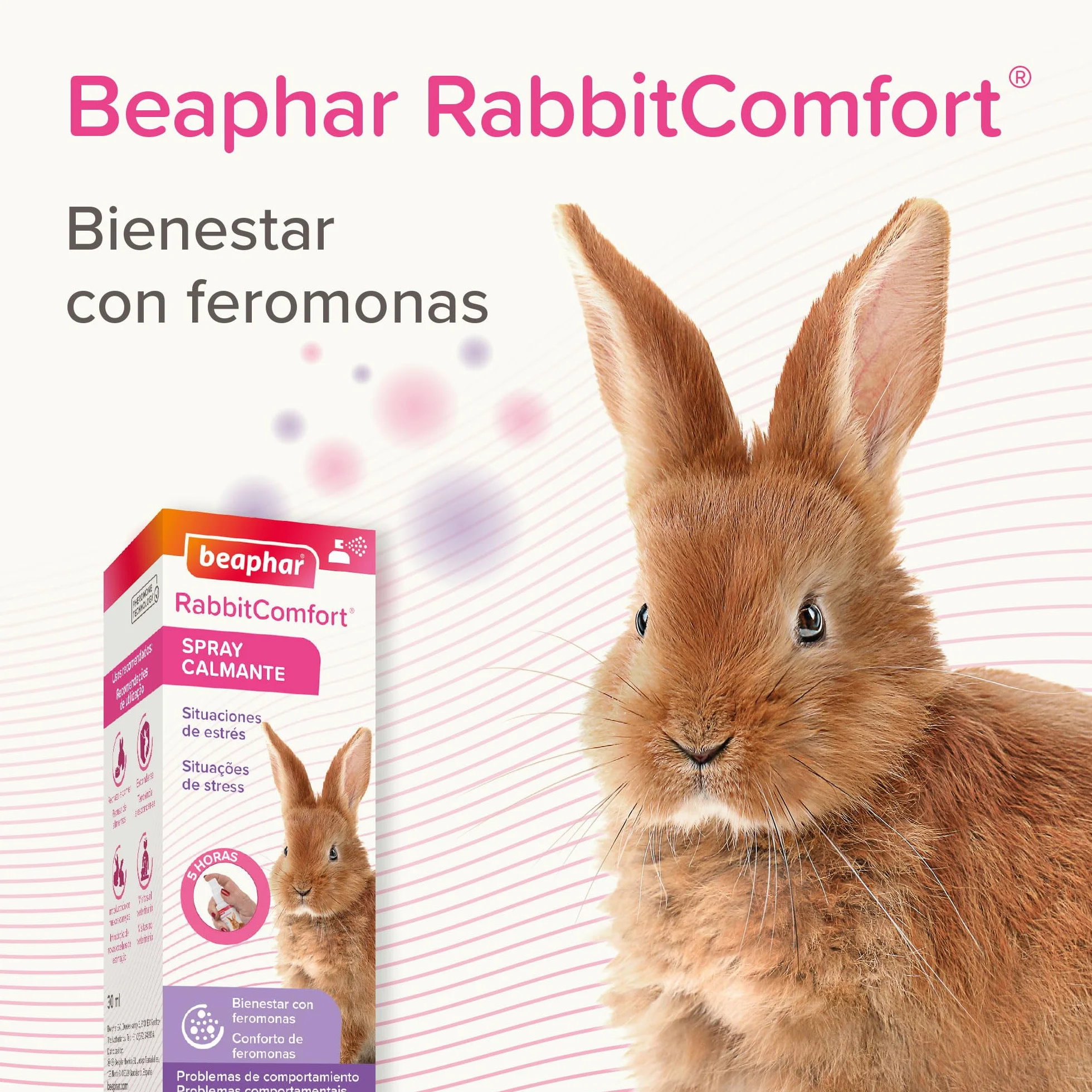 Beaphar - RabbitComfort® Spray calmante - Riduce l'ansia e lo stress in aree mirate - Per l'uso in casa o in gabbie - Azione rapida - Inizia a lavorare in 15 minuti - 30ml
