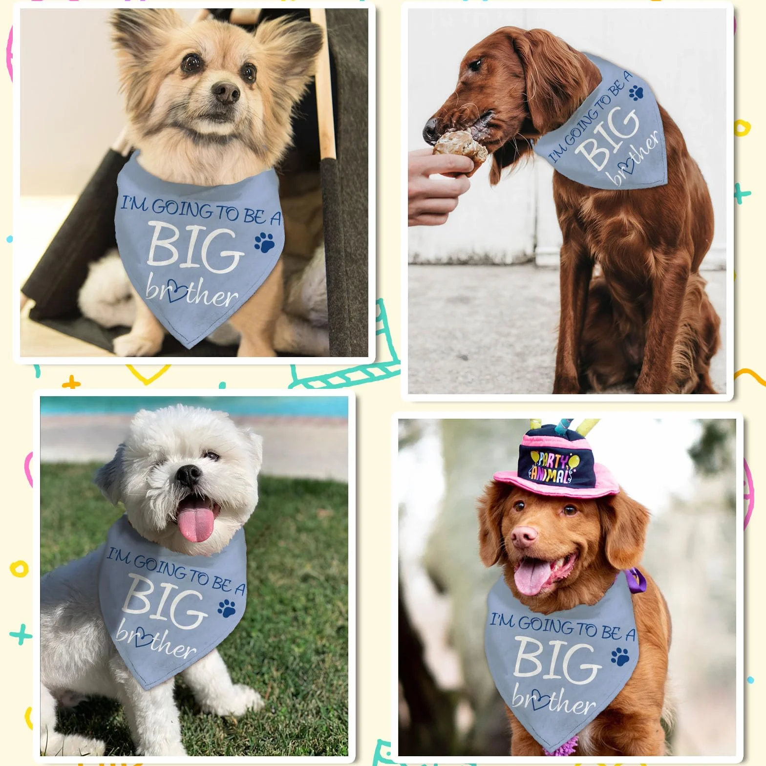 Arricraft Bandana Triangolare In Cotone per Cani Da Compagnia Diventerò Un Fratello Maggiore Sciarpa Lavabile