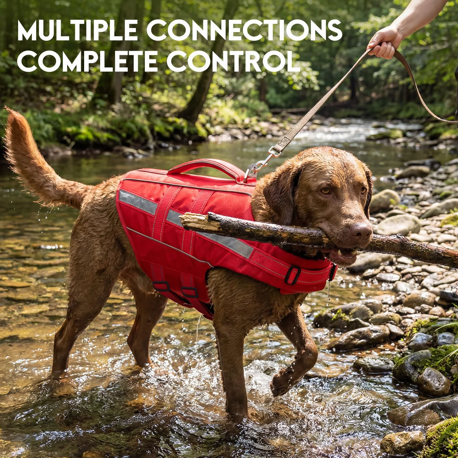 ASENKU Salvagente per Cani Giubbotto Salvataggio Taglia Piccola Media Grande Gilet Galleggiante Sicurezza con Maniglia e Anelli D per Nuoto Piscina Spiaggia Barca XS