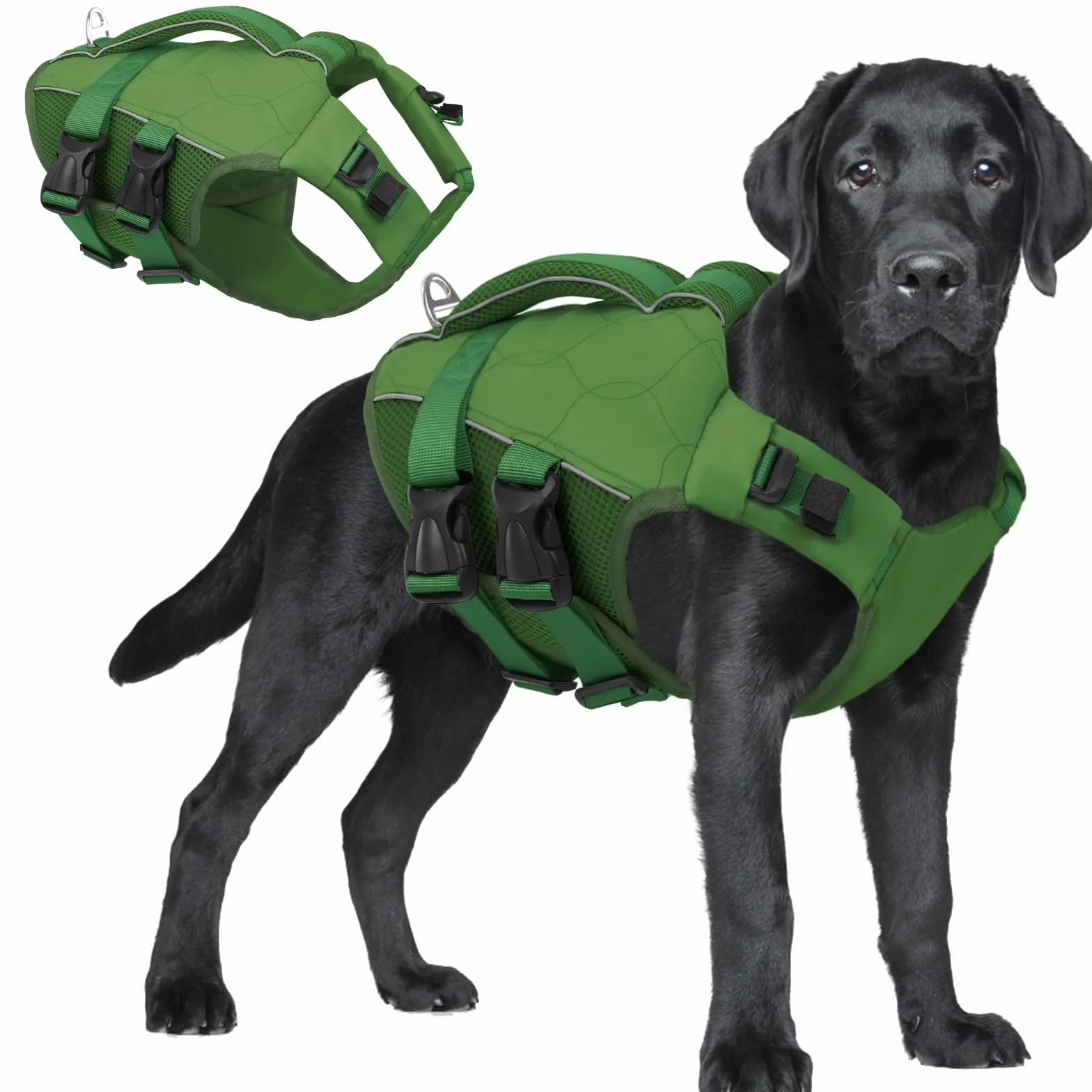 ASENKU Giubbotto Salvagente per Cani XXL con Maniglia, Cinture Regolabili Riflettenti