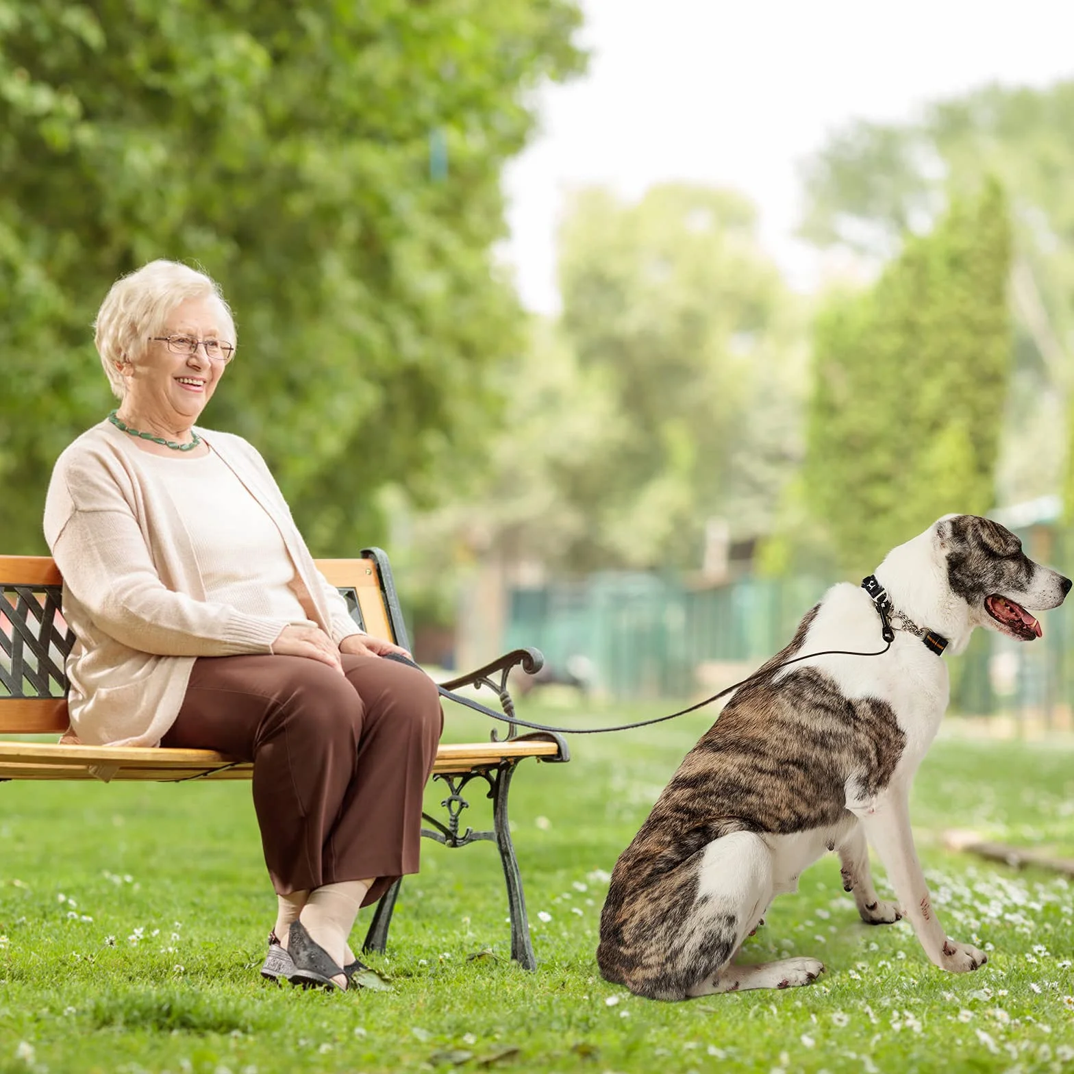 PETTOM Collare Semistrozzo Cane, Collare Cane Con Serratura di Sicurezza, Regolabile e Riflettente, Collare a Strozzo per Cani di Piccola, Media e Grande Taglia (S, Arancia)