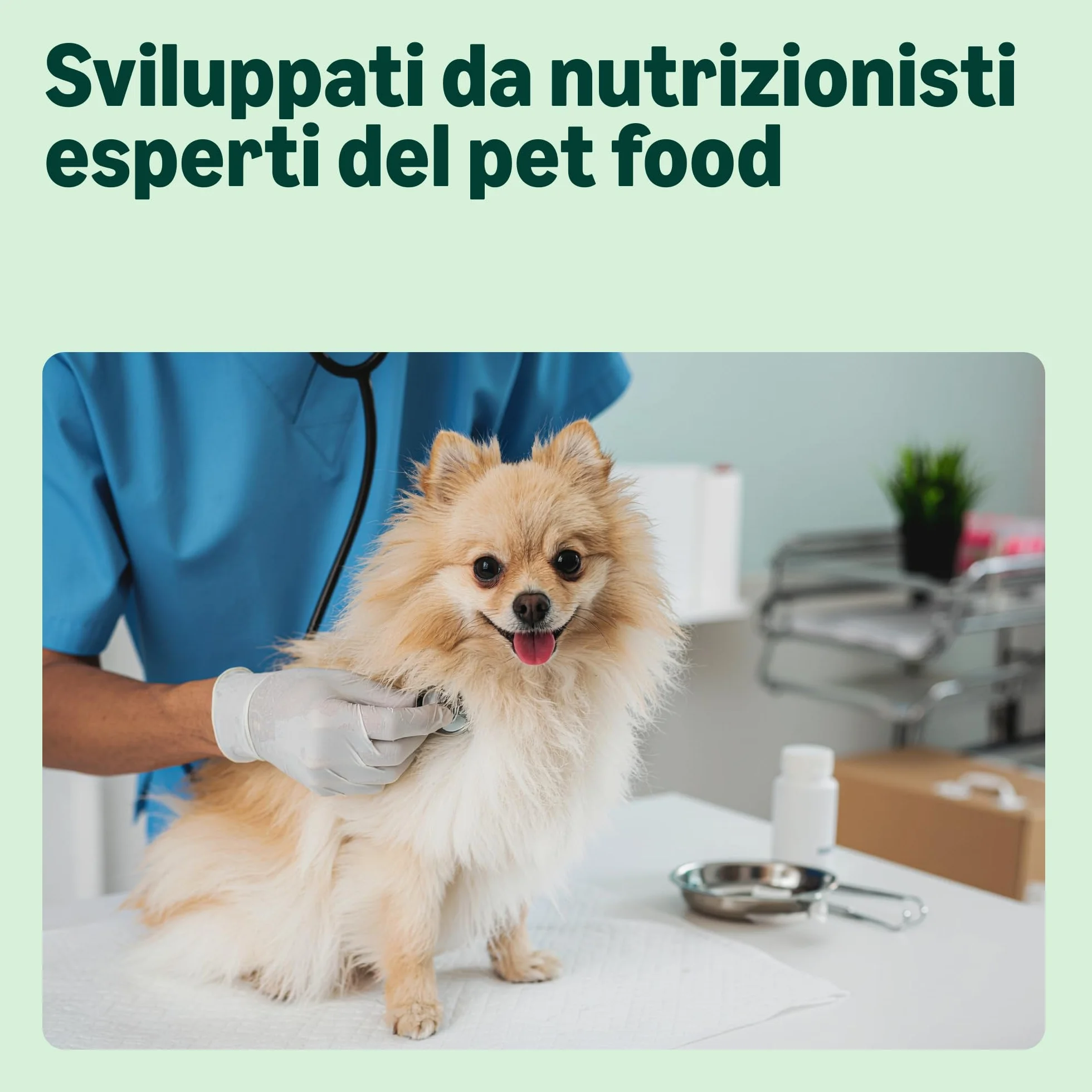 Amazon Complete Alimento Secco Completo Per Cani Adulti Razze Piccola Taglia Ricco In Pollo E Riso 3kg