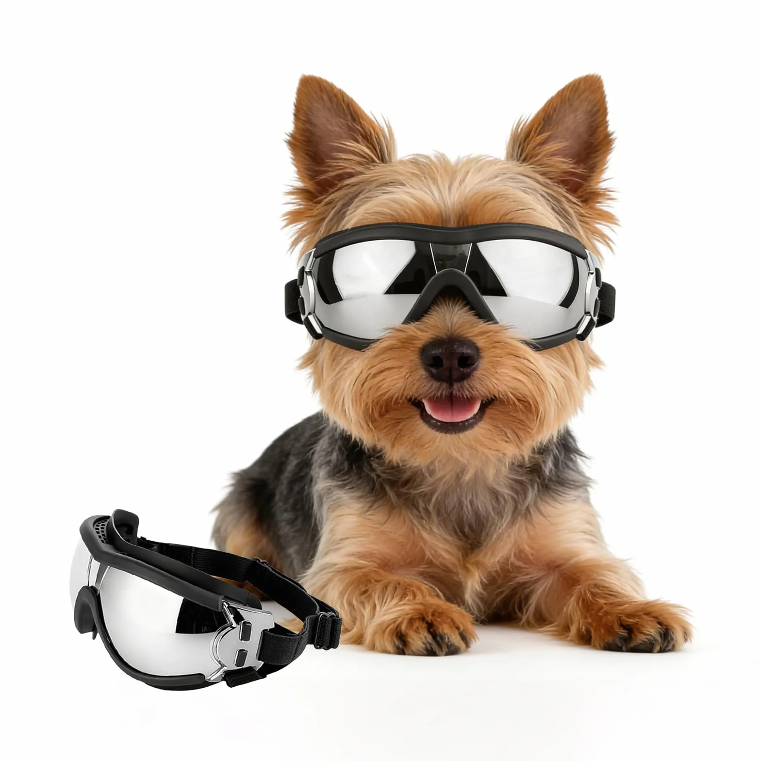 Occhiali per cani di piccola taglia Anti-UV Impermeabili Occhiali da moto per cani con elastico regolabile, occhiali da sole per cani di piccola taglia - Argento, S
