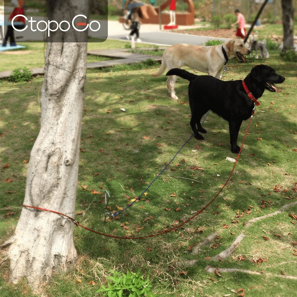 Guinzaglio per Cane A 3 M/5 M/10 M con Picchetto Elicoidale A Terra A 46 Cm - per Esterno Come Cortile E Campeggio - Adatto per Cani Piccoli E Medi (3M, Blu)