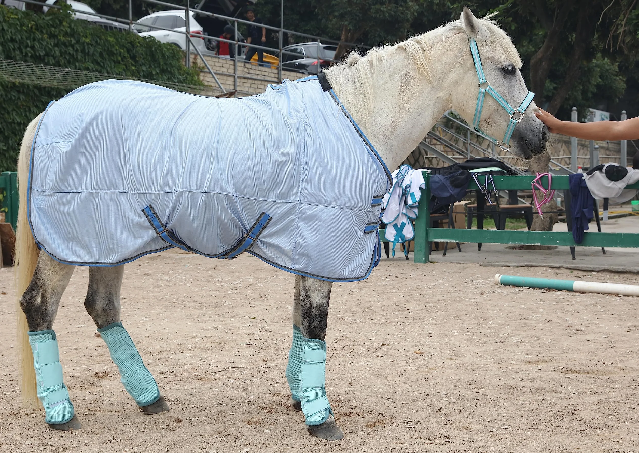 LEAFOREST Stivaletti da mosca per cavalli, perfetti per avvolgere le gambe equine e massima protezione contro le mosche del cavallo, set di 4 (blu, pony)