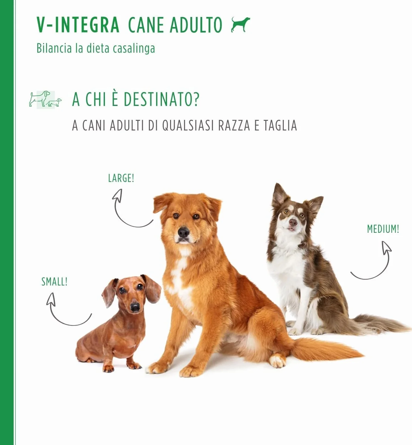 V-INTEGRA Cane Adulto 500g Integratore Completo Ricco di Vitamine e Minerali per Dieta Casalinga e BARF