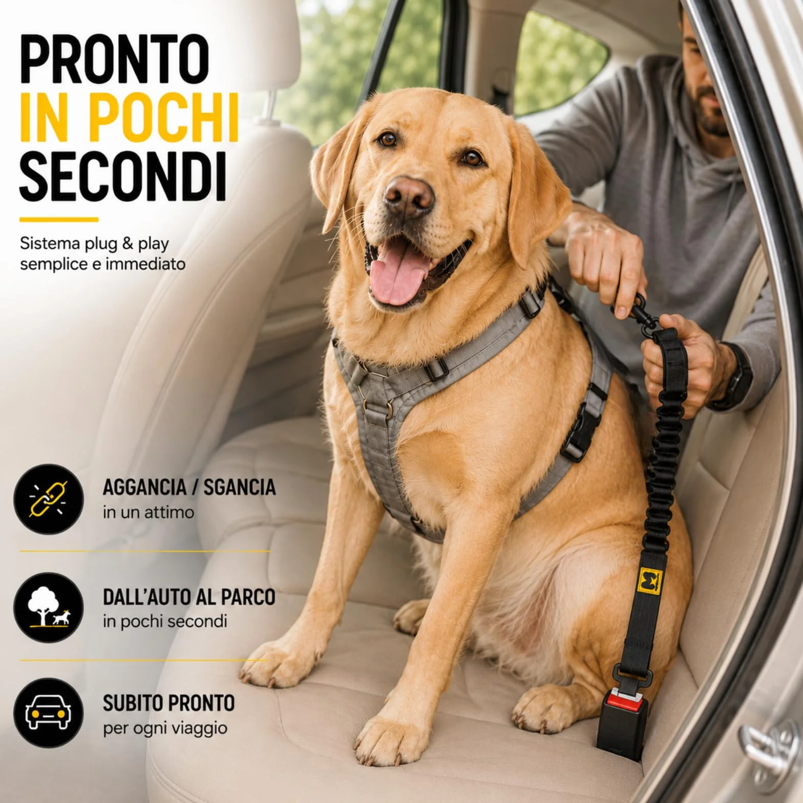 MORELOW Cintura Auto Per Cani - Cintura di Sicurezza per Cani Elastica Anti Shock che Riduce gli Strappi - Regolabile con Gancio Rinforzato - Compatibile con Tutte le Auto