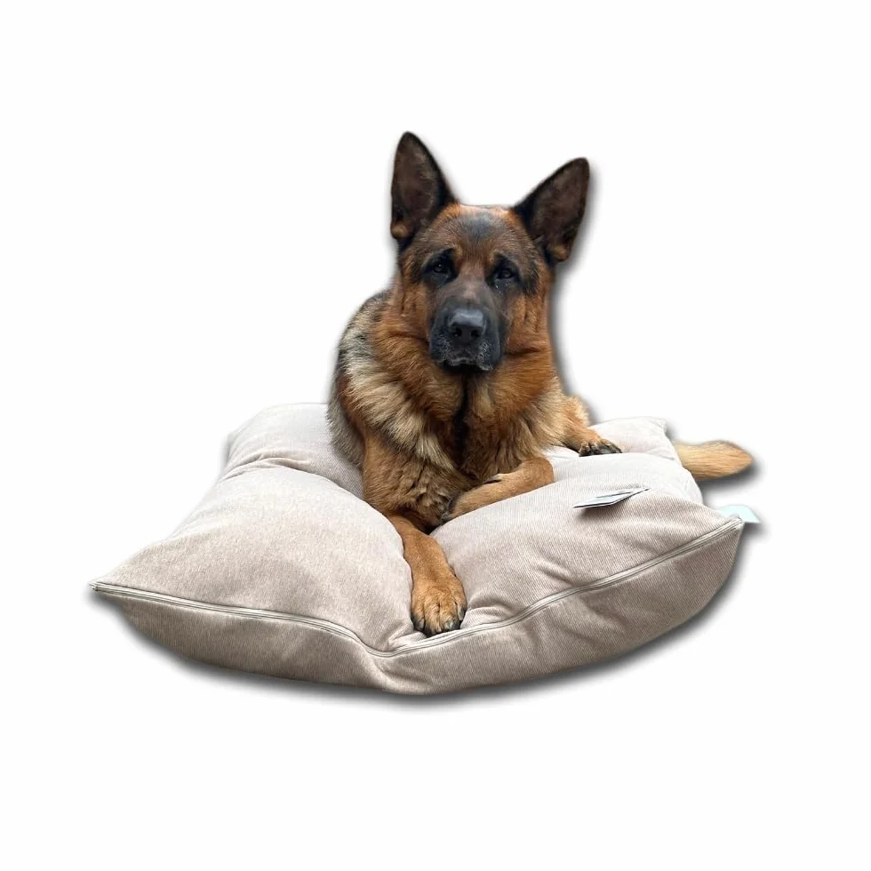Dorian Home - Cuccia Cane Interno Taglia Grande, Media e Piccola - Cuscino Cane e Gatto Sfoderabile e Lavabile, Extra Imbottito e Morbido - Cuscino per Cani e Gatti Antimacchia Resistente ai Graffi
