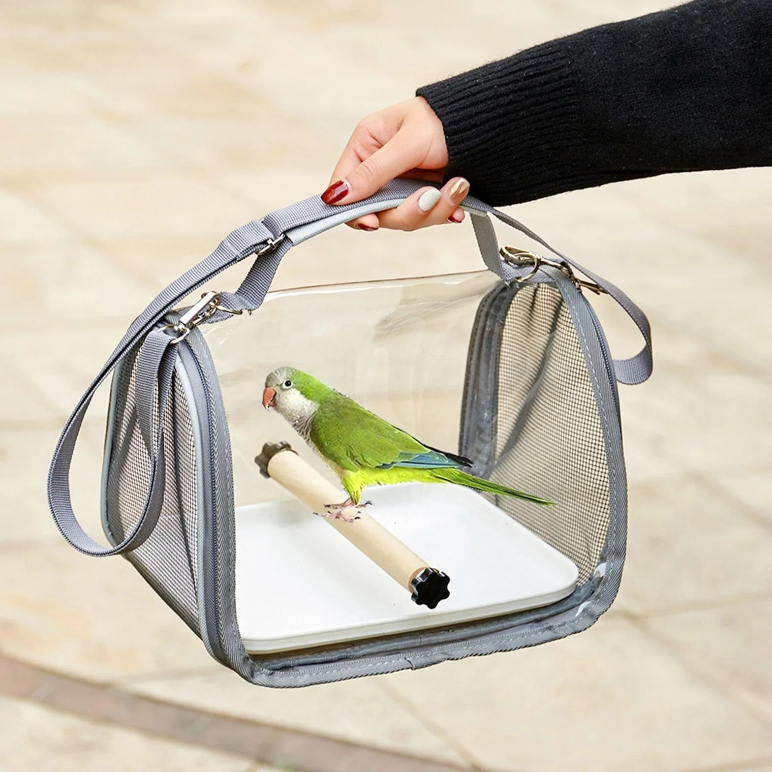 Borsa da trasporto per pappagalli, trasportino per parrocchetti con posatoio, calopsitta, piccola gabbia per il trasporto di animali domestici, parrocchetti, piccioncini, calopsitte