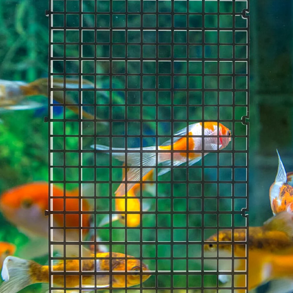 HANABASS Vassoio Divisorio Per Acquario Divisorio Per Pesci Griglia In Plastica Diffusore Per Casse Per Uova Per Acquario