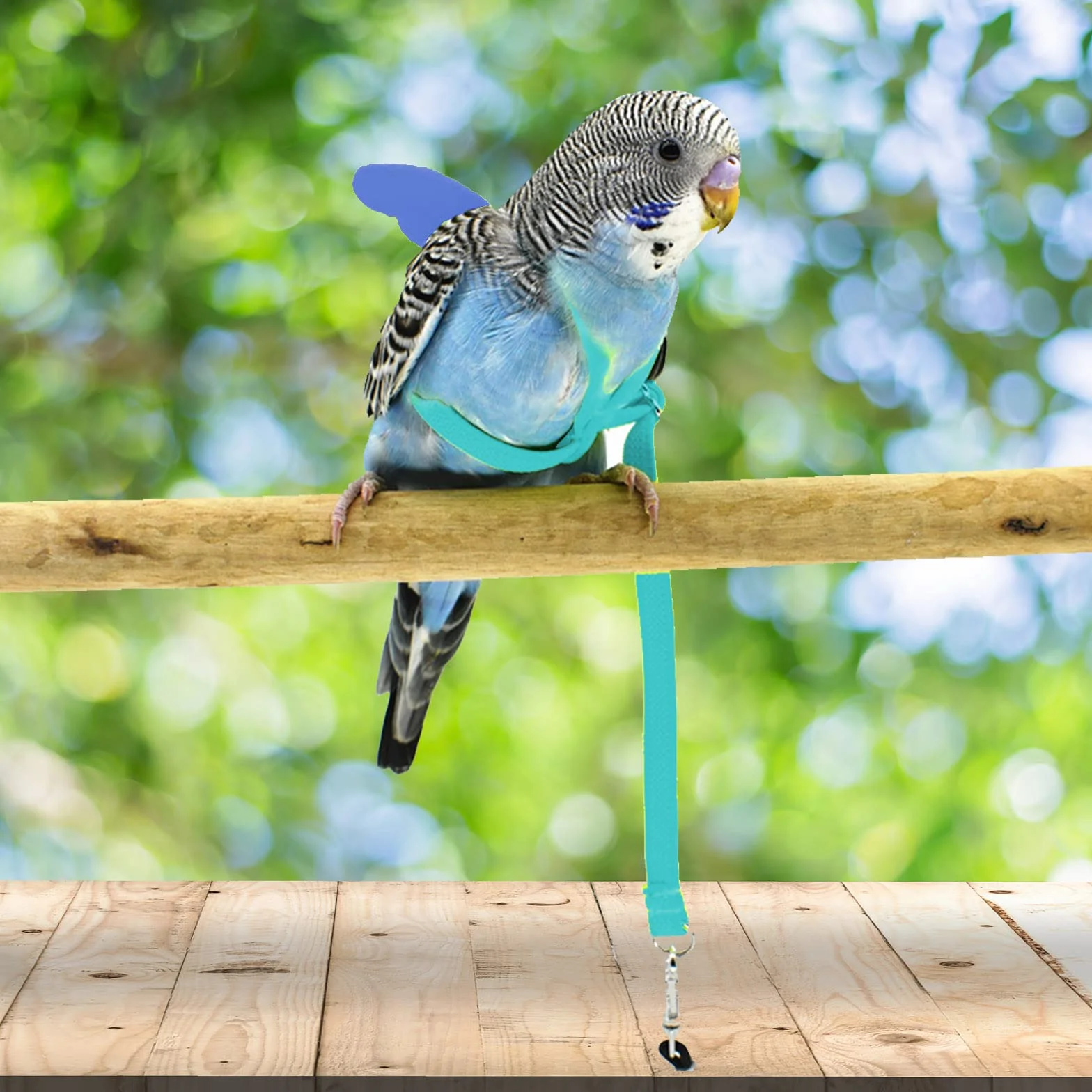 Pet Parrot Bird Pettorina e guinzaglio per cani - Design di addestramento regolabile - Anti-morso - Corda in nylon con adorabile ala per pappagalli - Adatto per Alexandrine, Scarlet, Keck