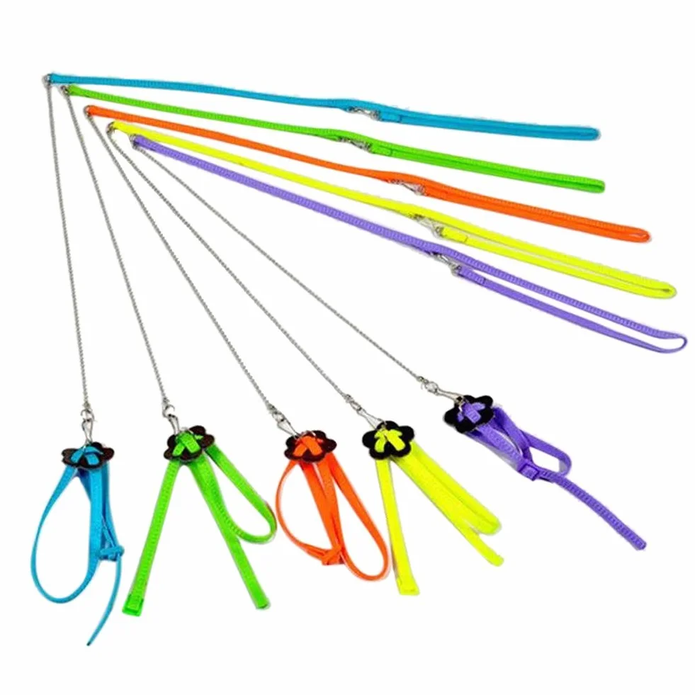 Set con pettorina e guinzaglio per uccelli e pappagalli, regolabile, anti-morso, multicolore, leggero e morbido
